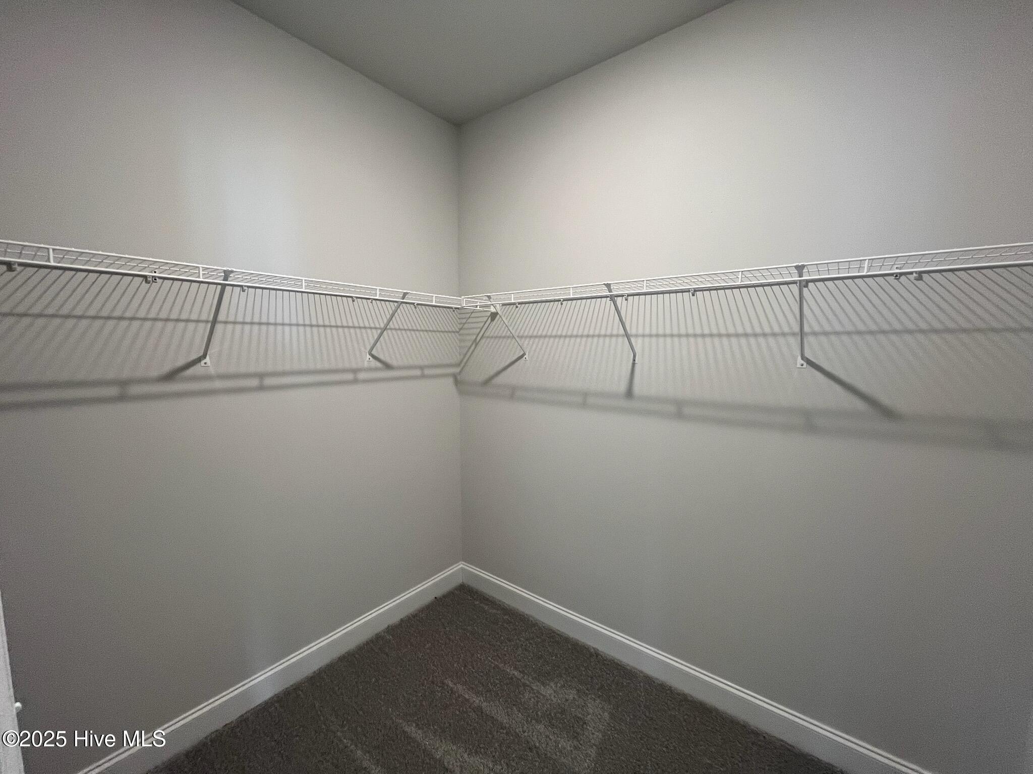 100426037 | Photo 20