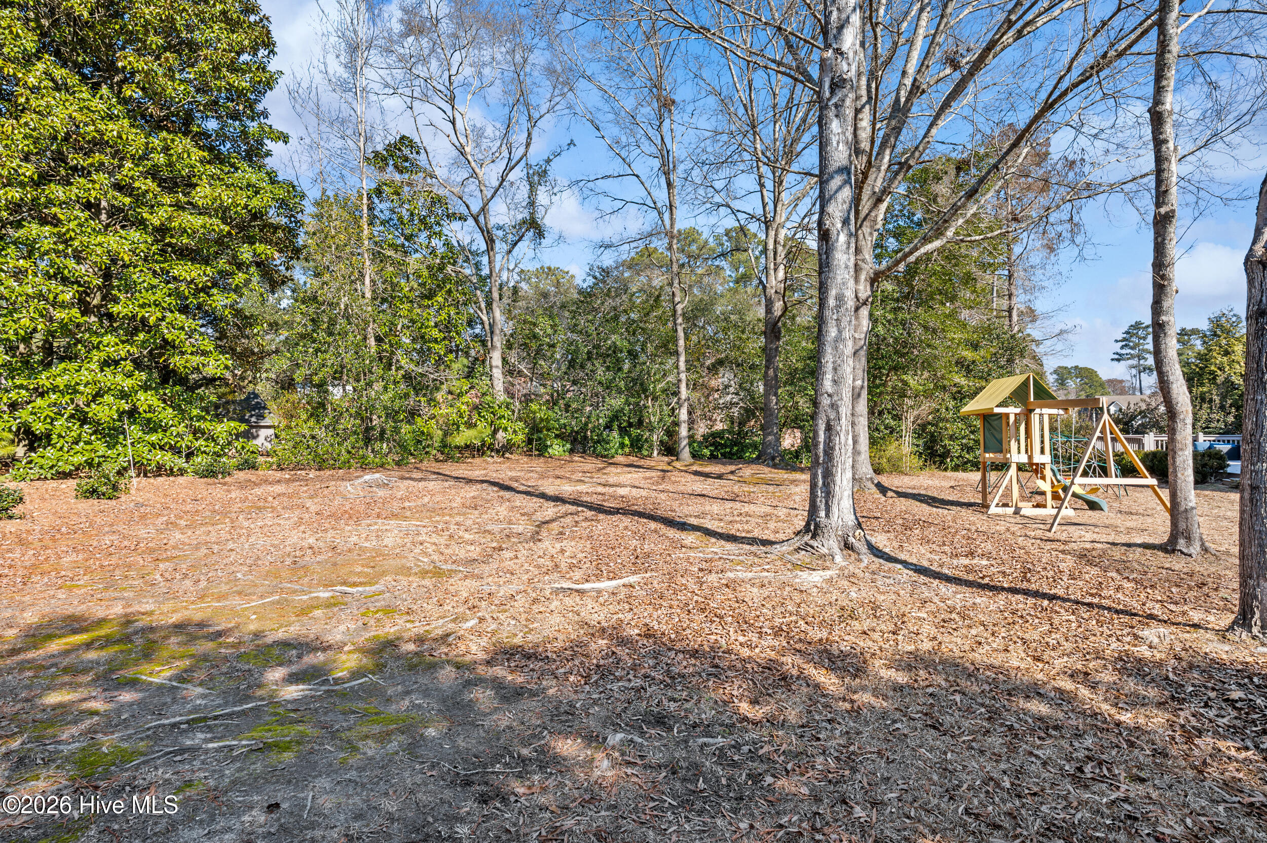 100554057 | Photo 60