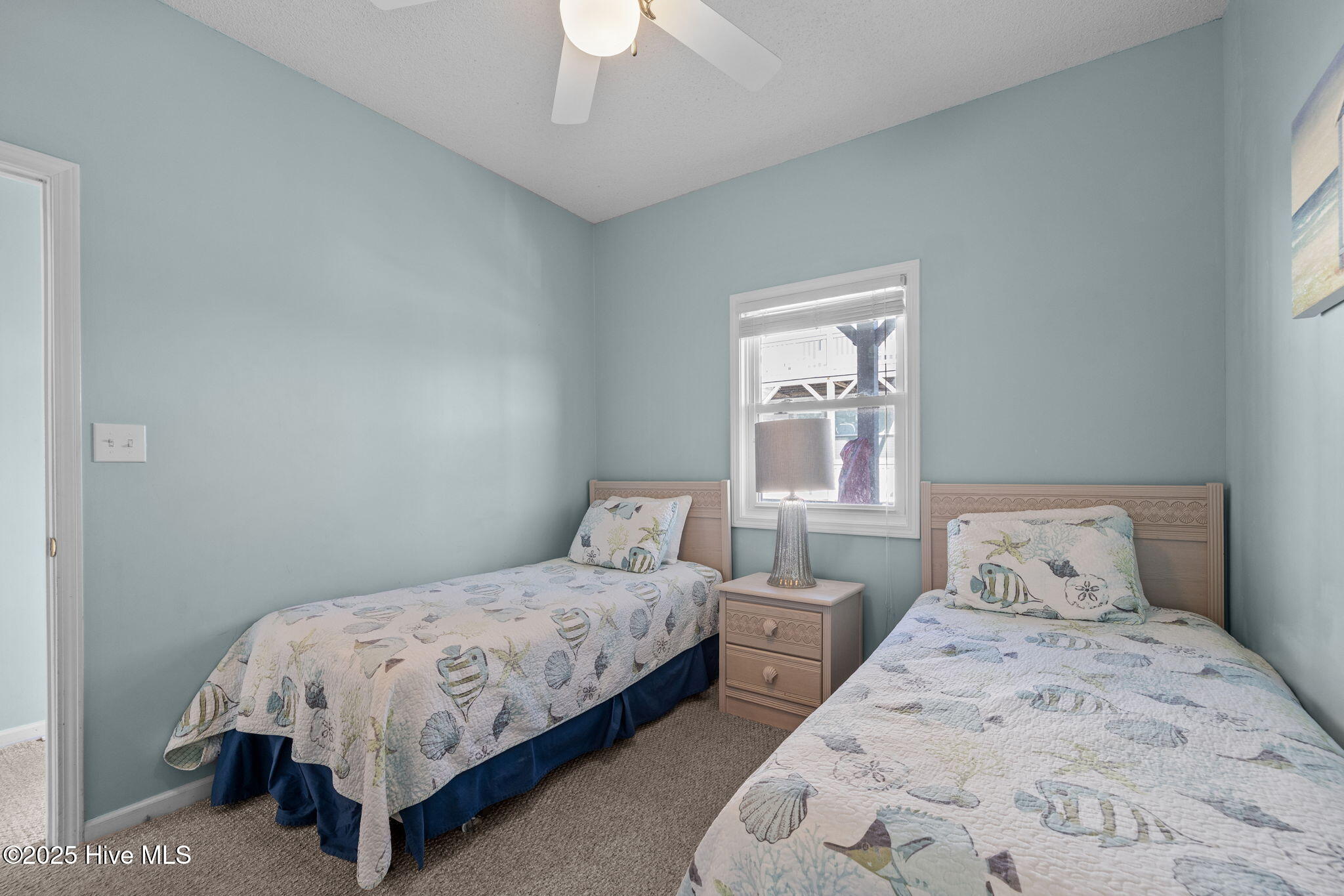 100558494 | Photo 17