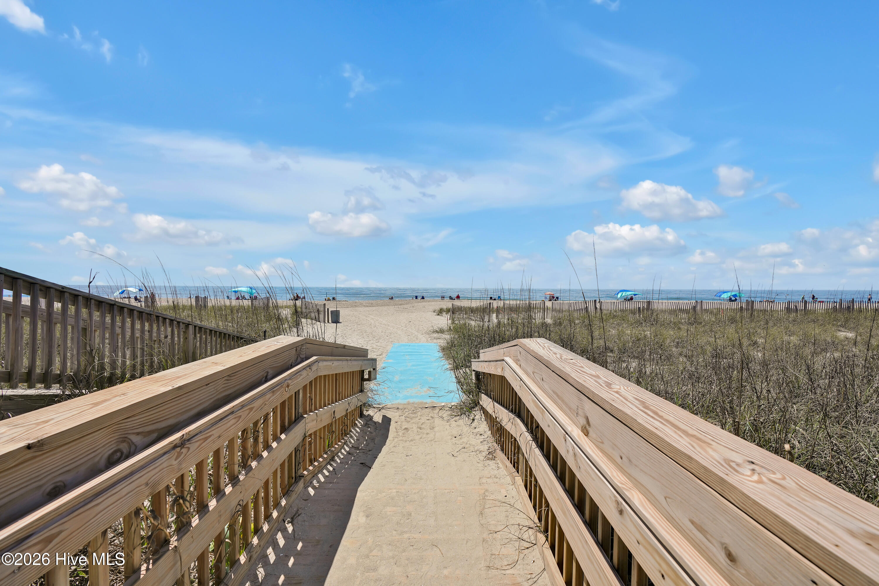 100549864 | Photo 97