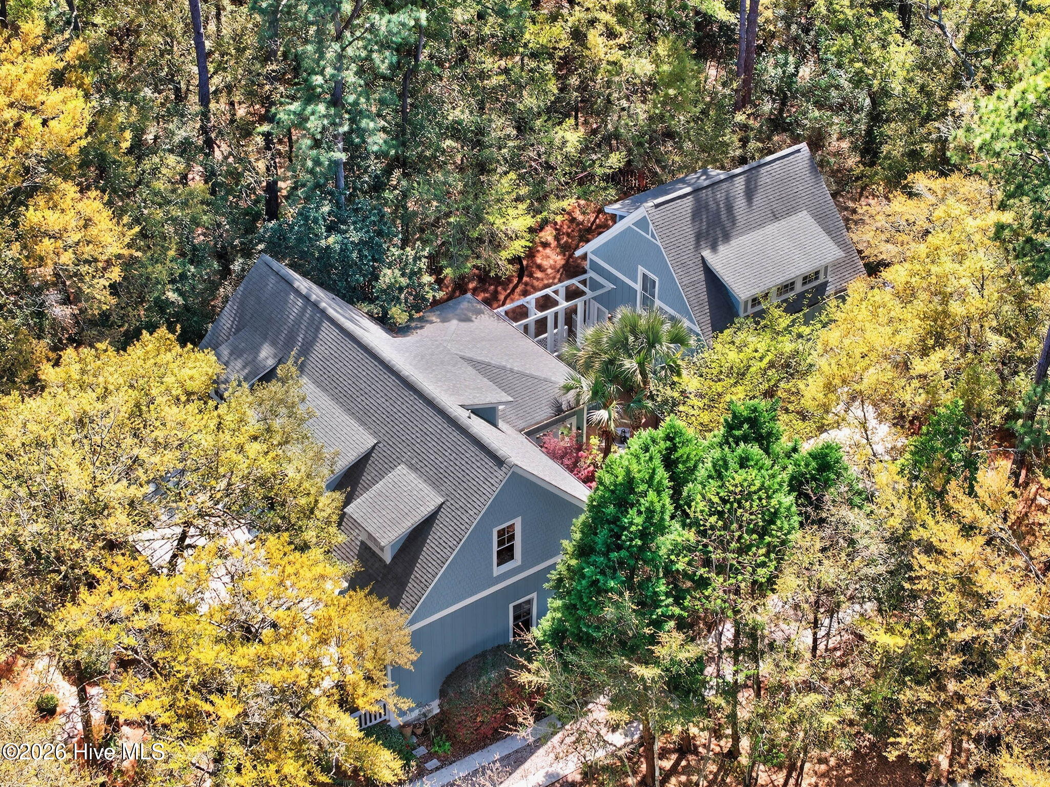 100564993 | Photo 50