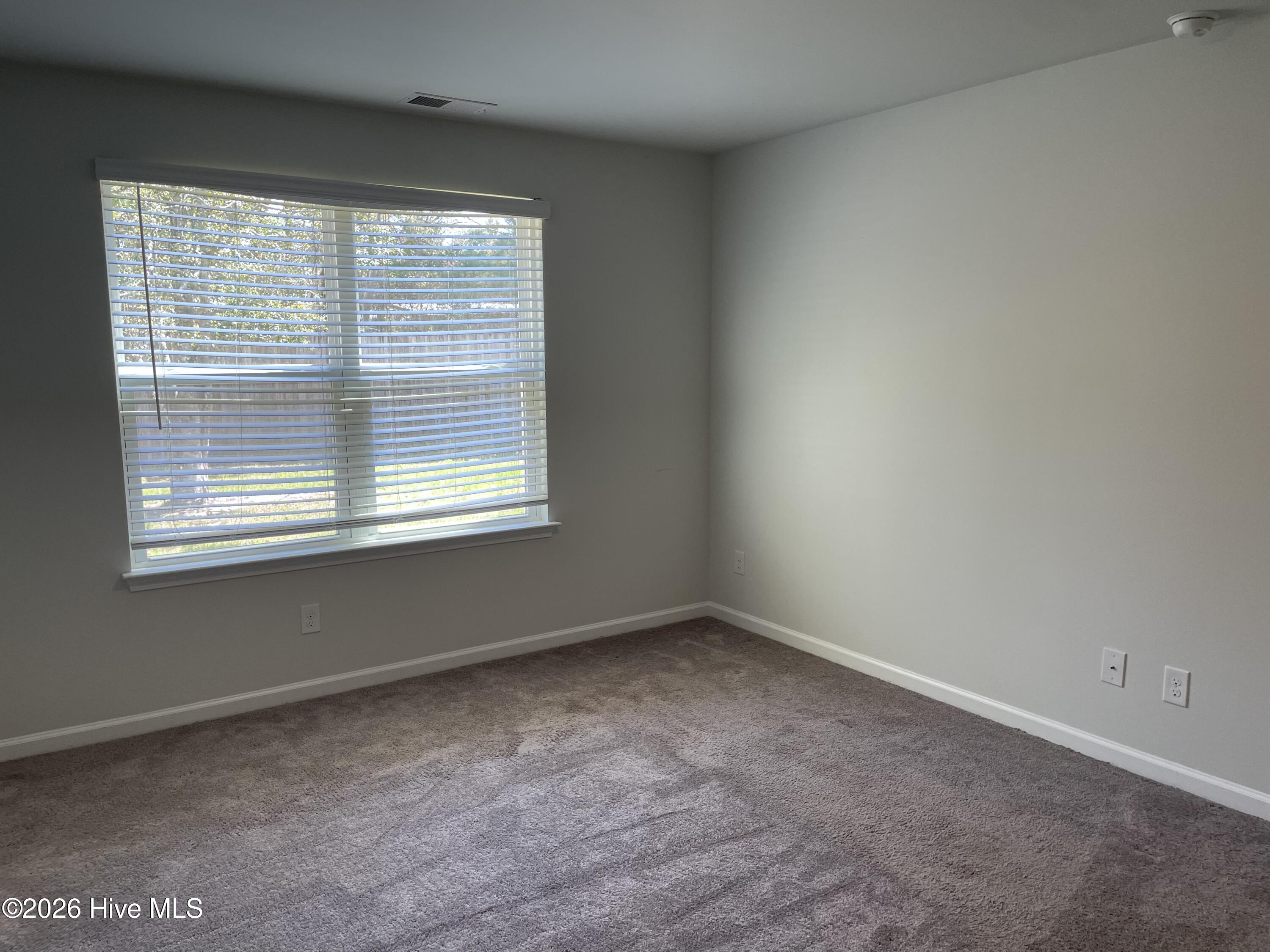 100562231 | Photo 27