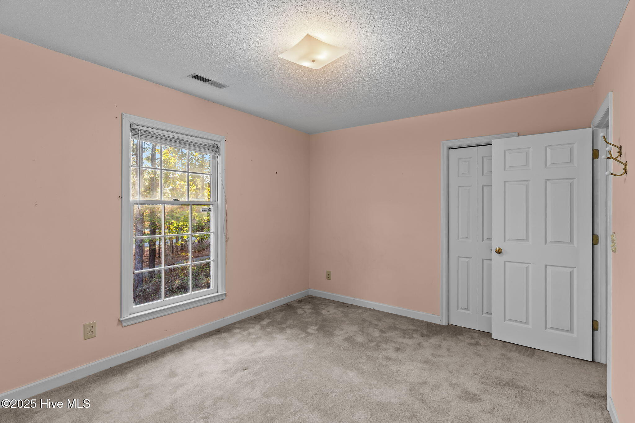 100540294 | Photo 31