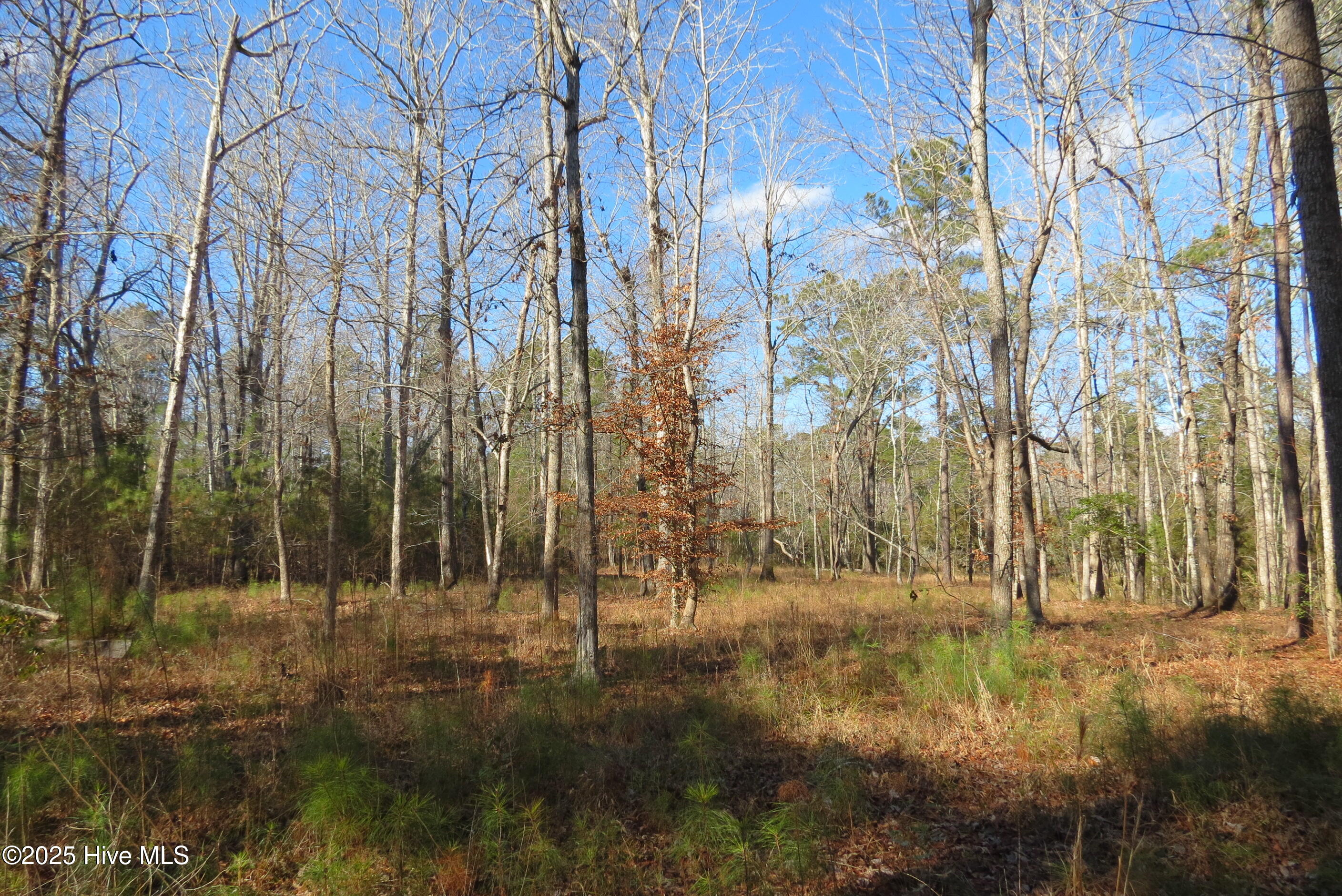 109 Winding Creek Drive, Oriental, NC, 28571