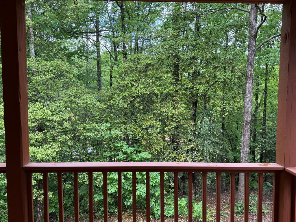 View from Back Porch
