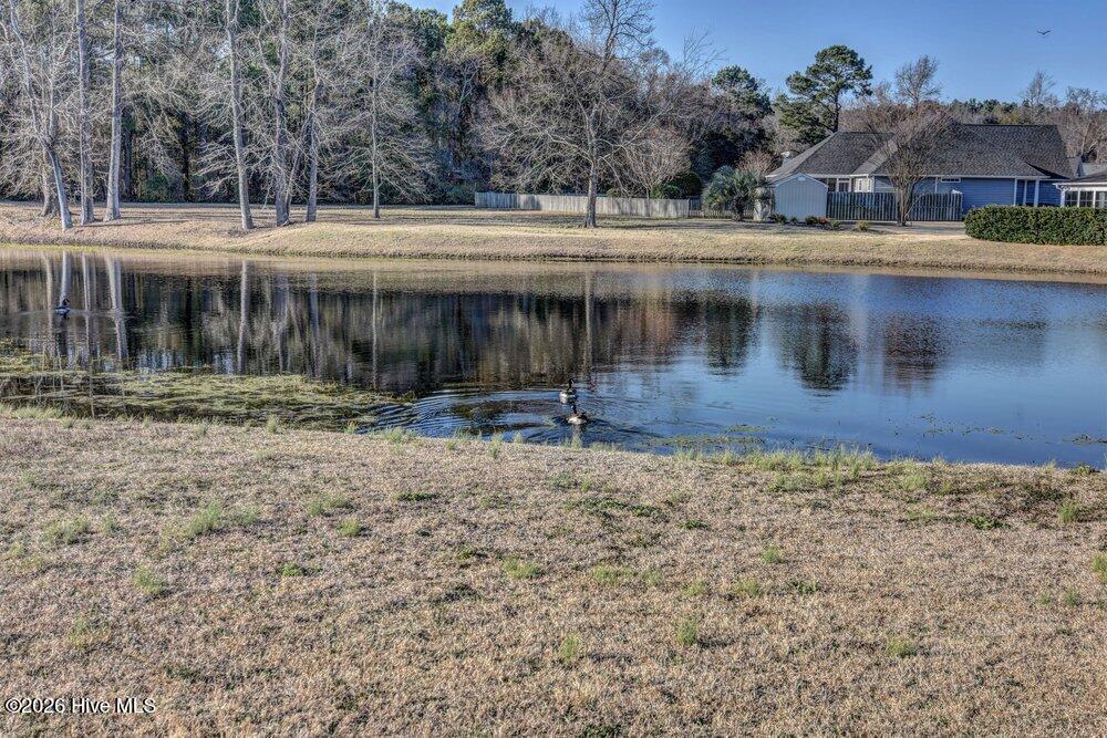 100555857 | Photo 53