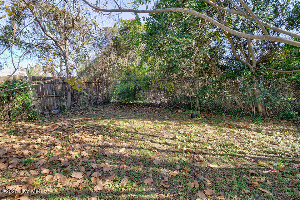 100543494 | Photo 13