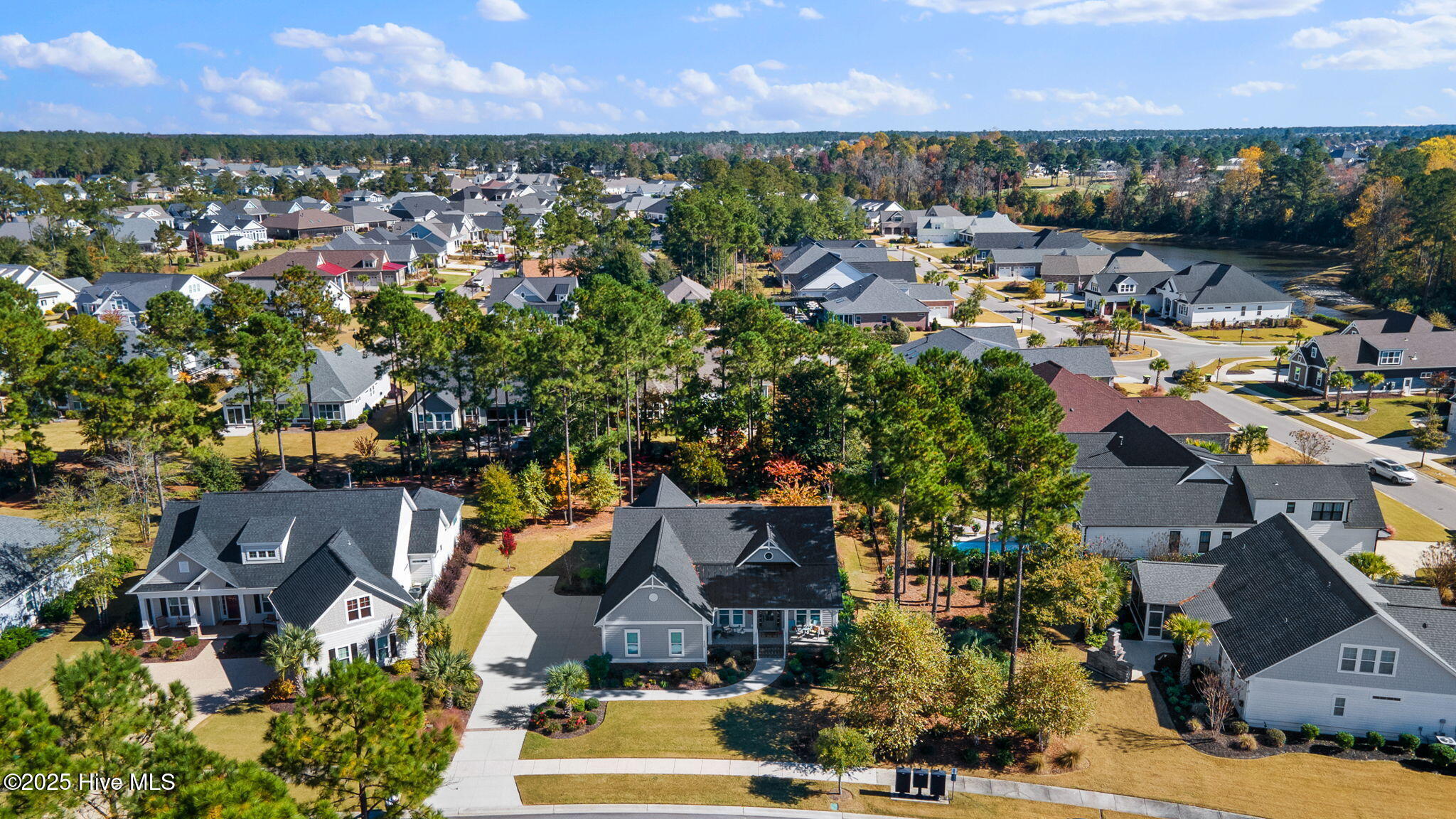 100540140 | Photo 58