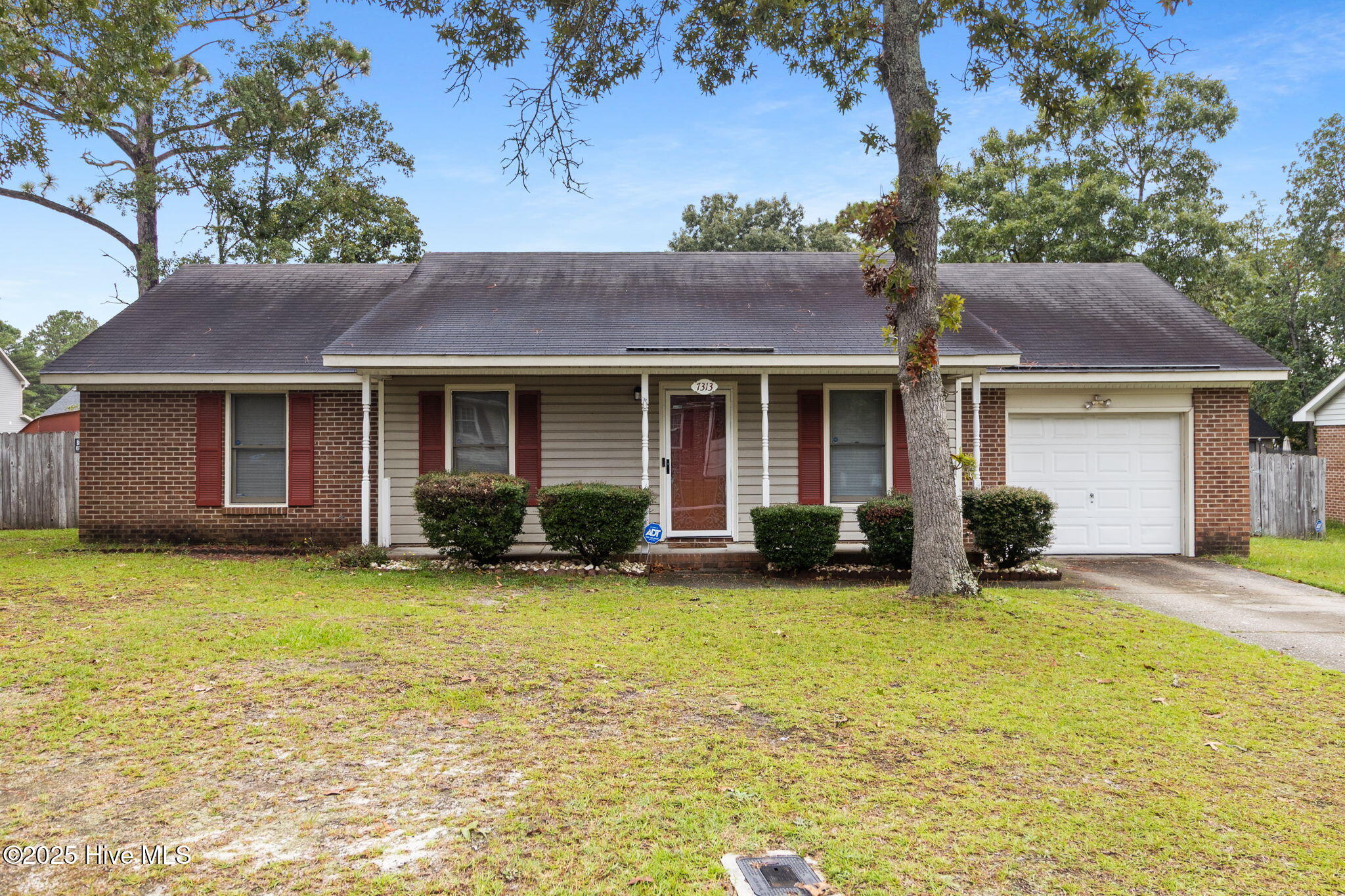 1-web-or-mls-2B5A8979