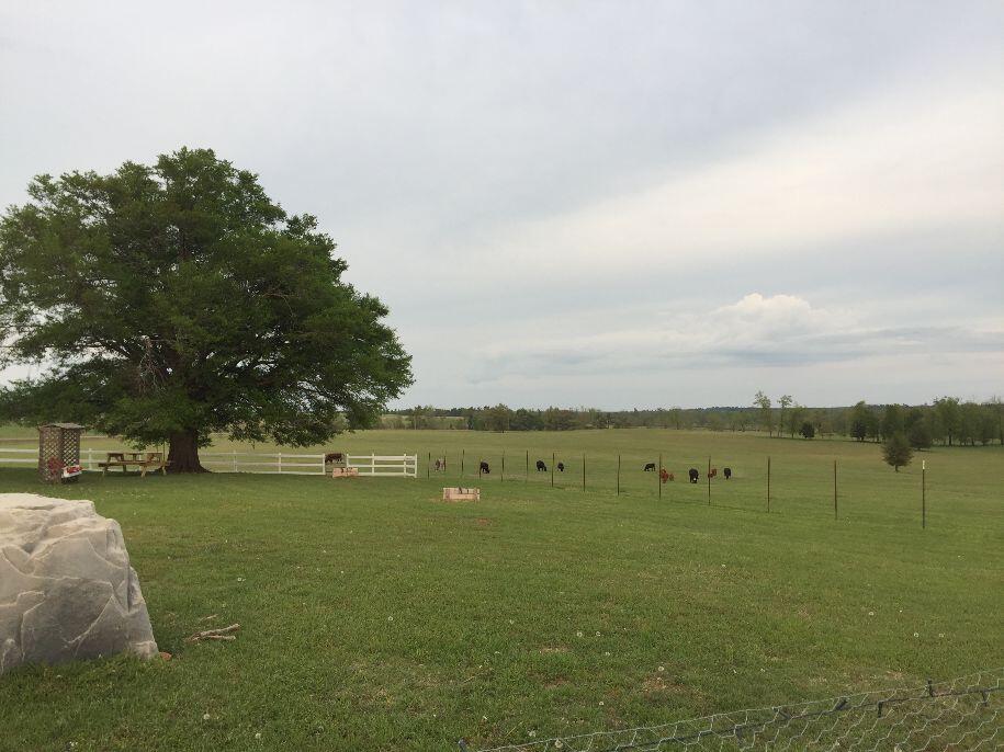 PASTURE