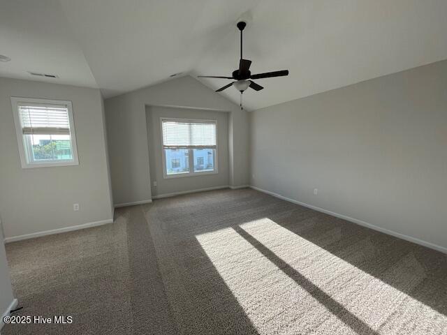 100534246 | Photo 15