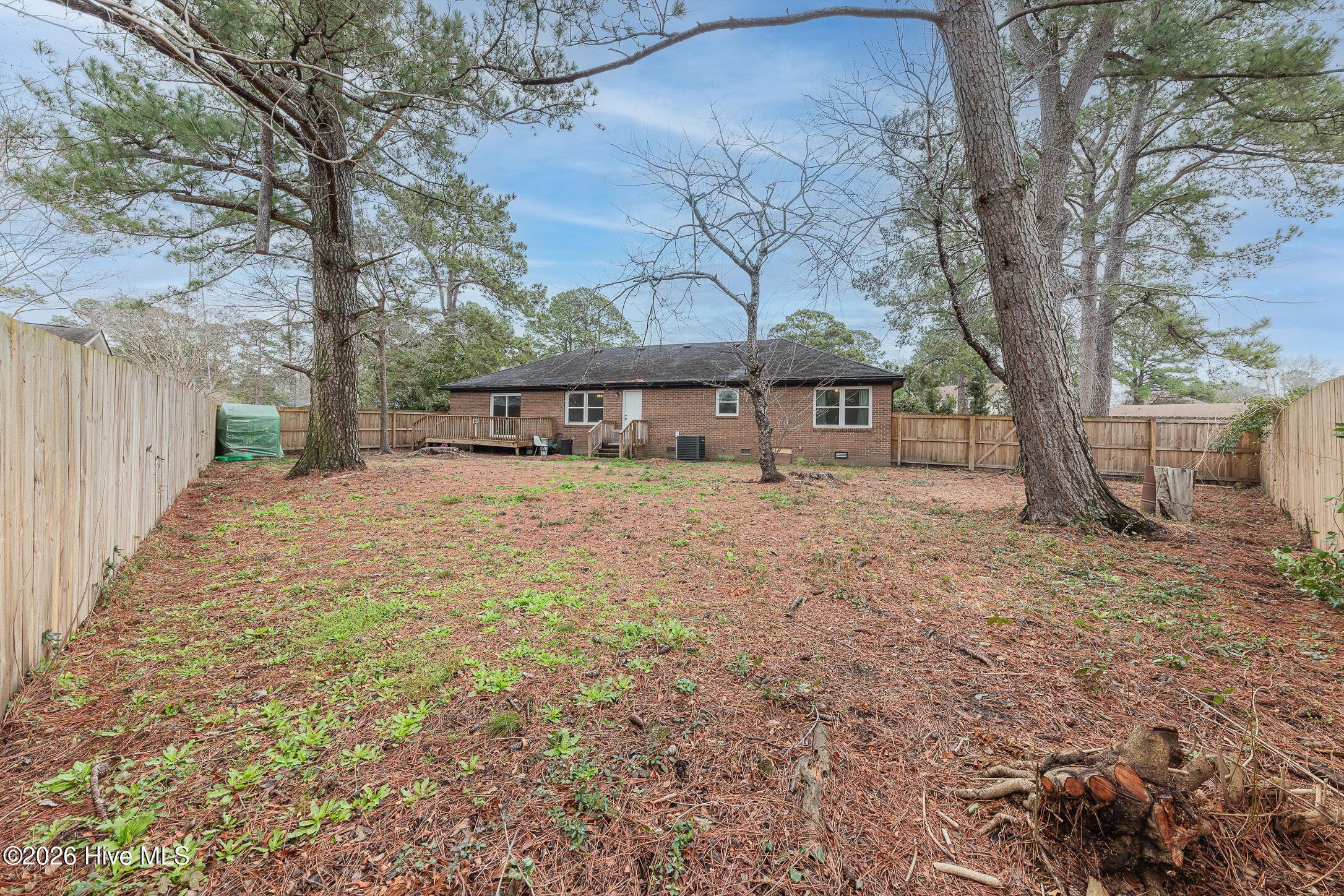 100558087 | Photo 46