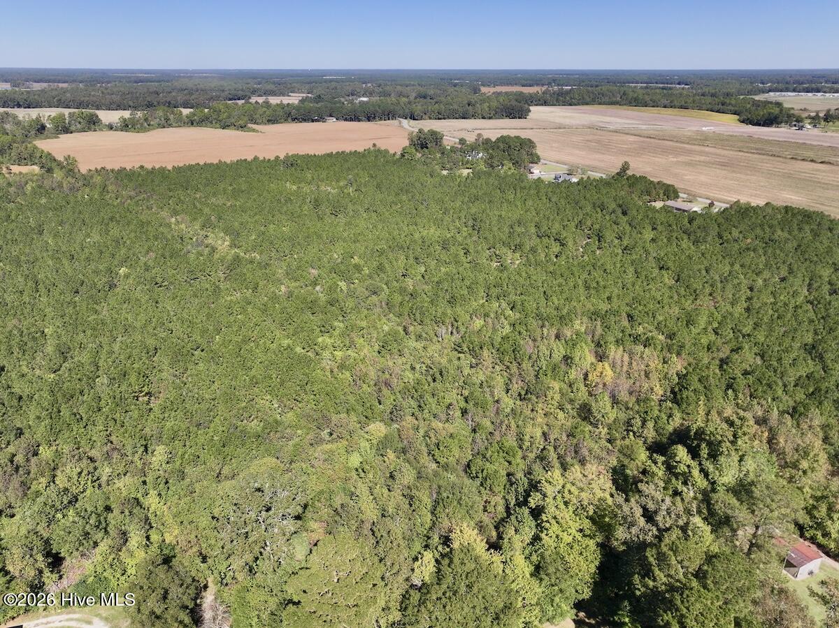 100612661 | Photo 3