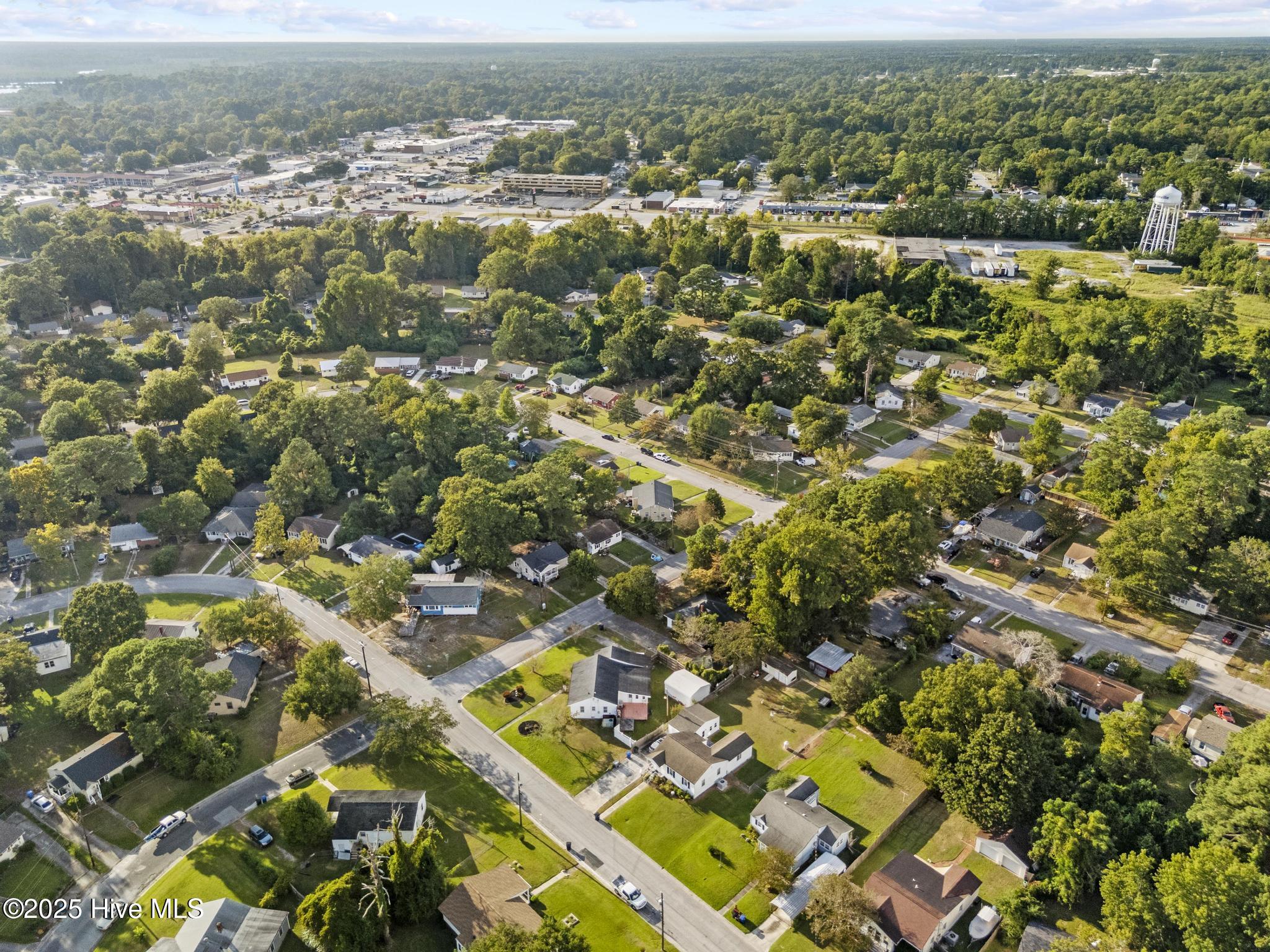 100532196 | Photo 40