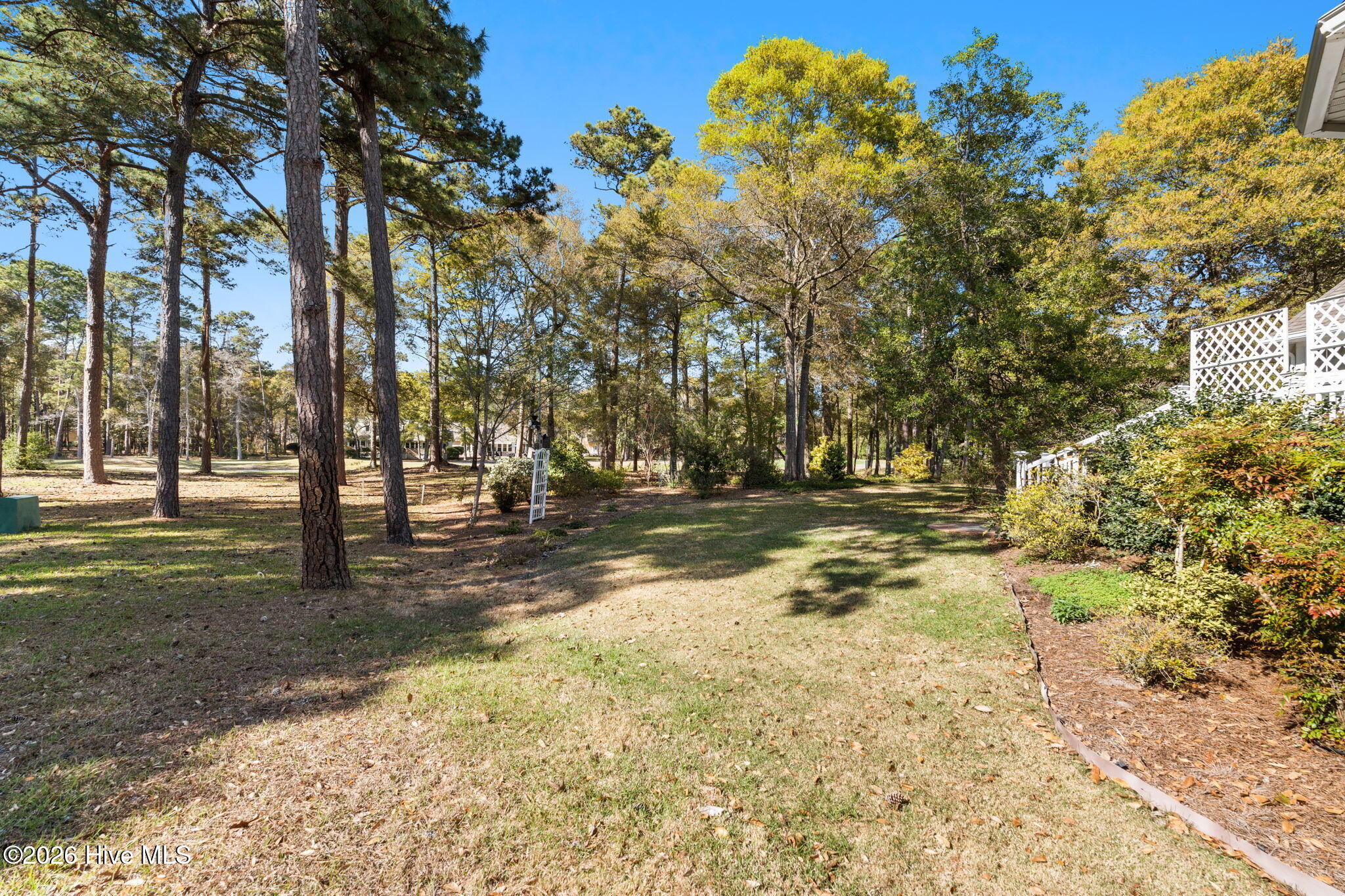 100564903 | Photo 53