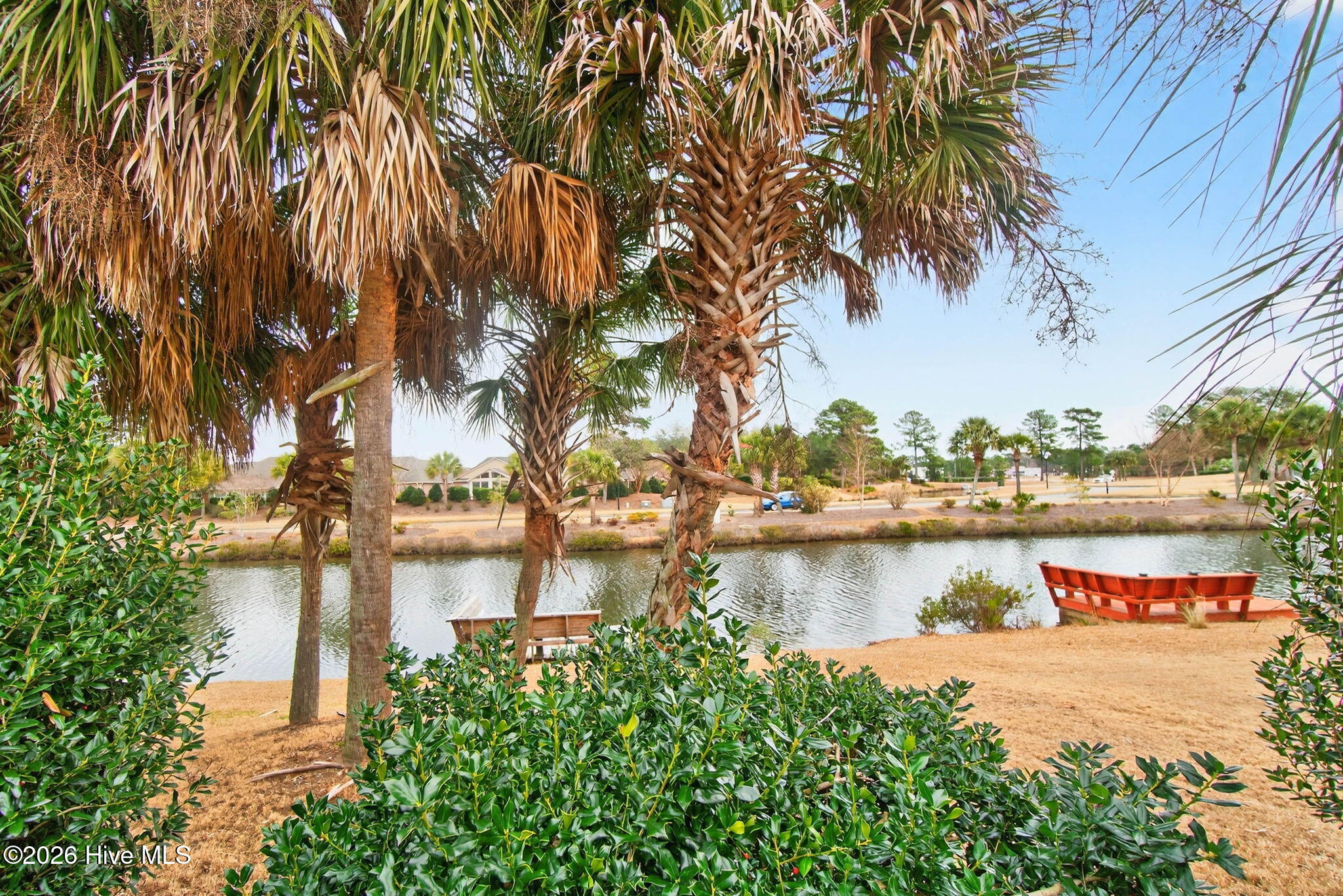 100556001 | Photo 28