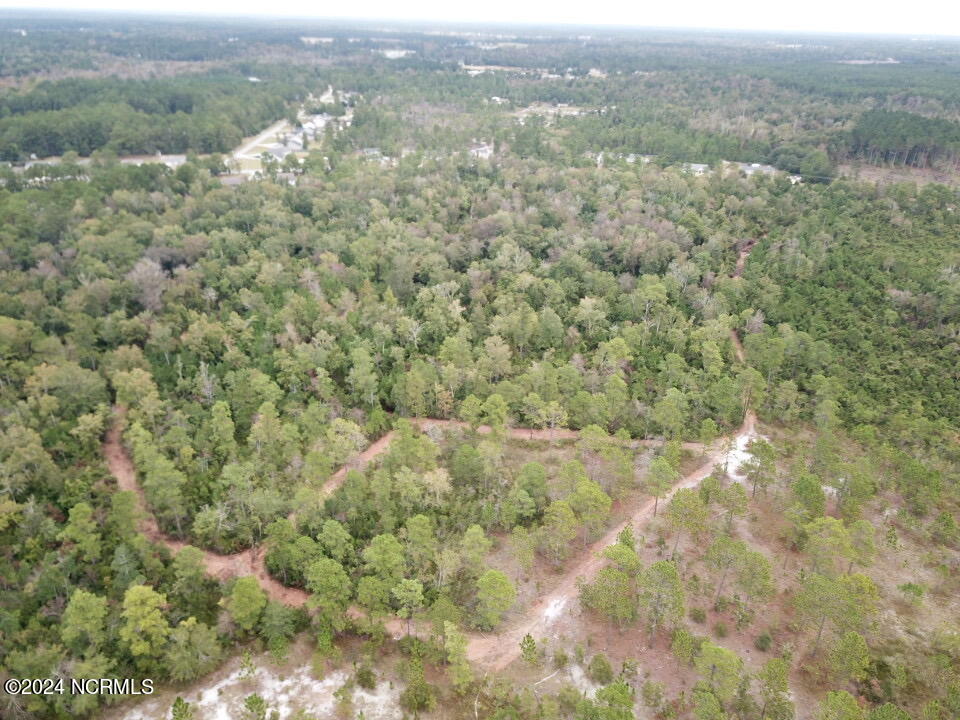 100460239 | Photo 12