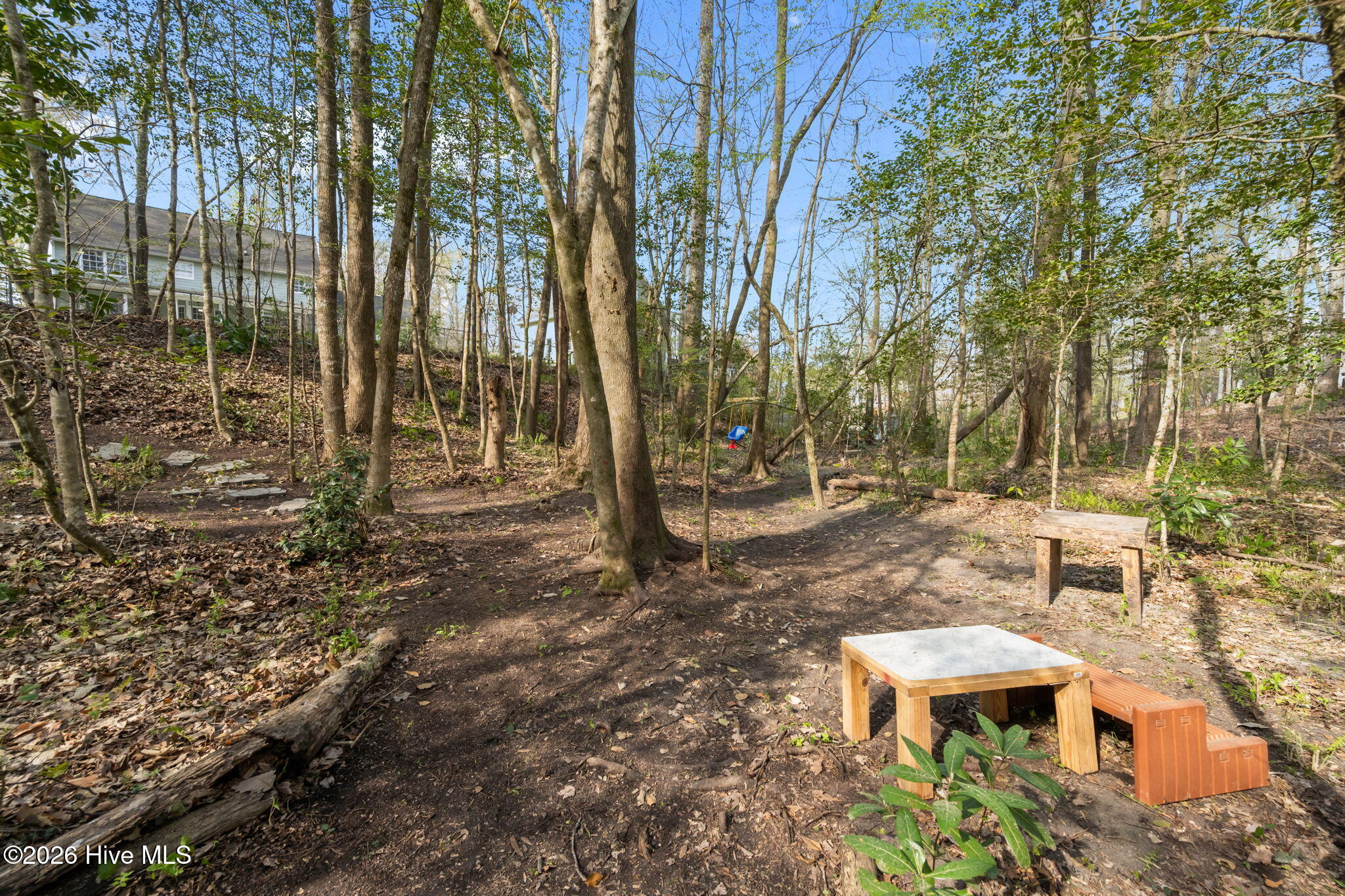 100561787 | Photo 58