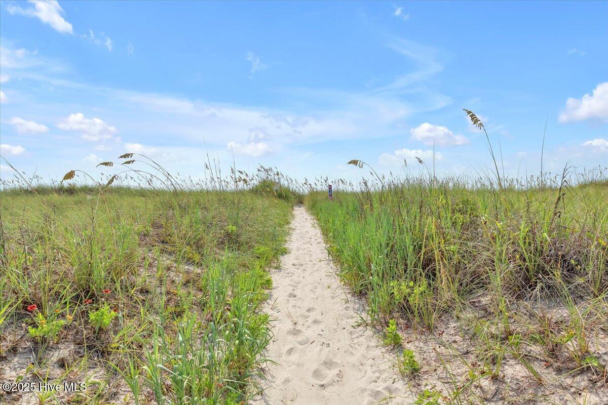 100558526 | Photo 50