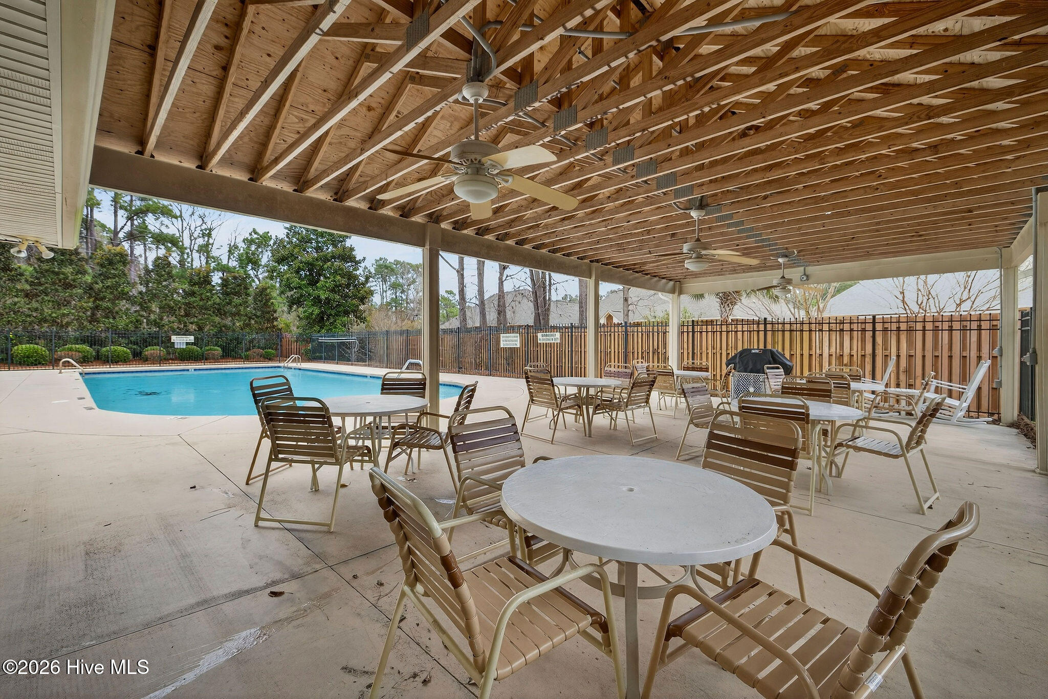 100557092 | Photo 53