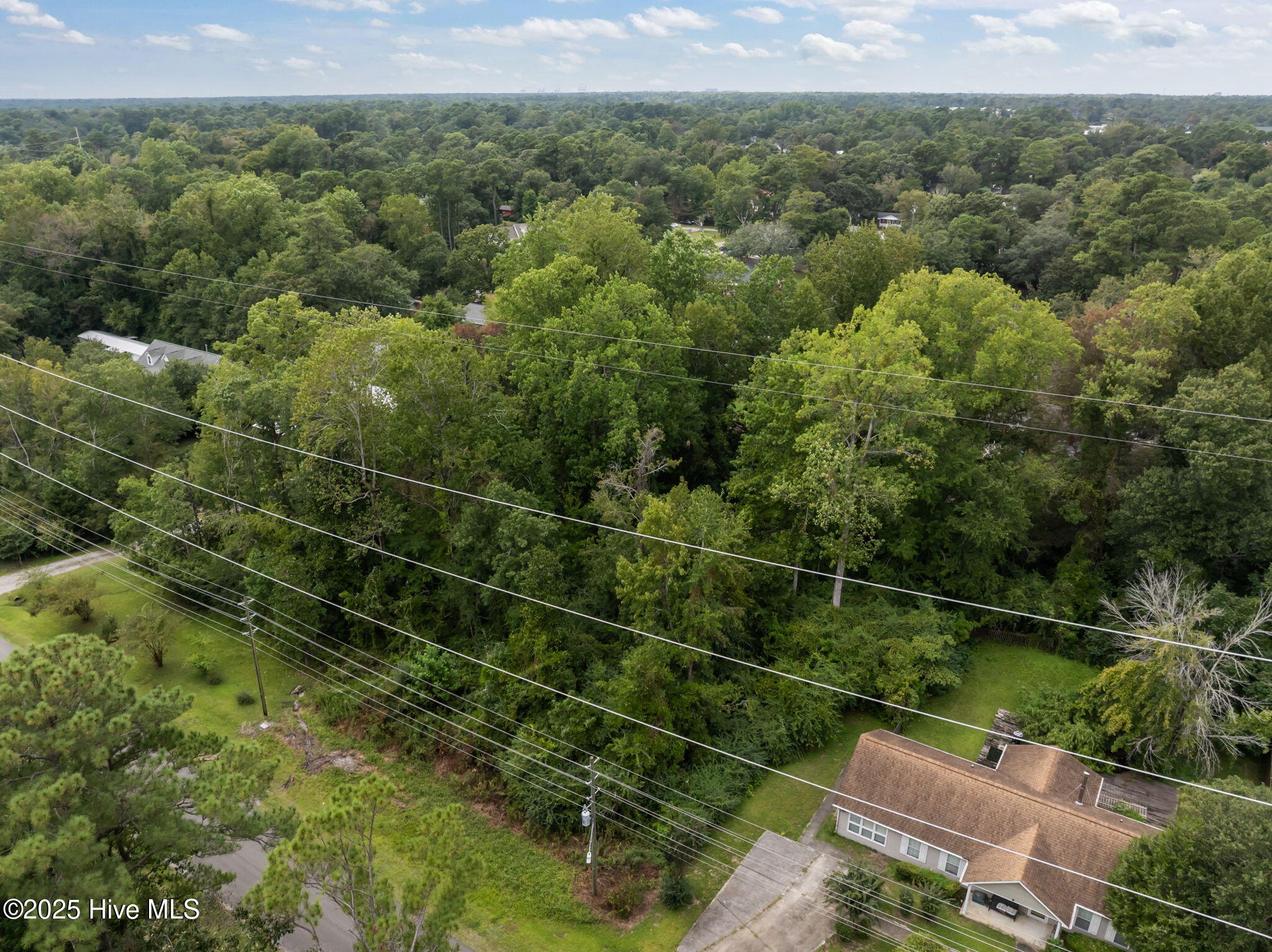 100529798 | Photo 12