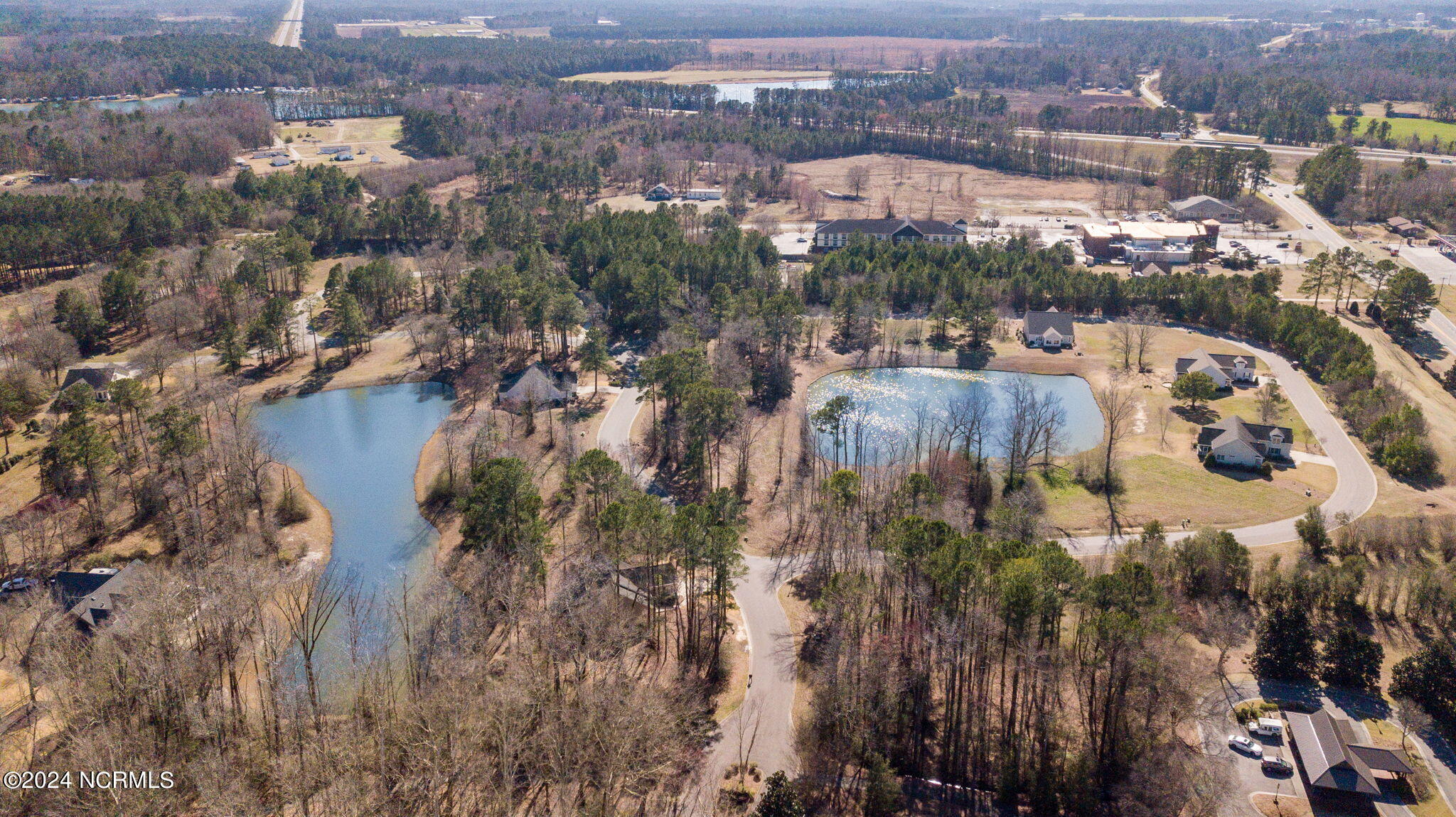 110 Firethorn Circle, Wallace, NC 28466 – photo 23: River Village Square