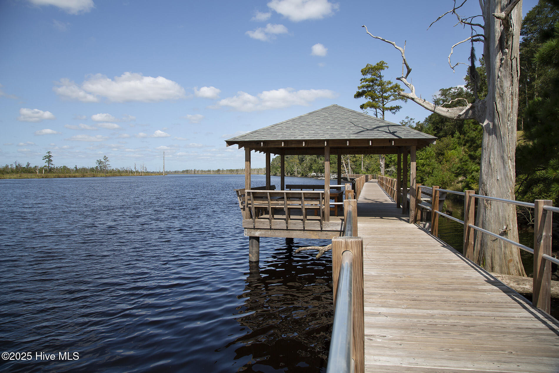 100556749 | Photo 61