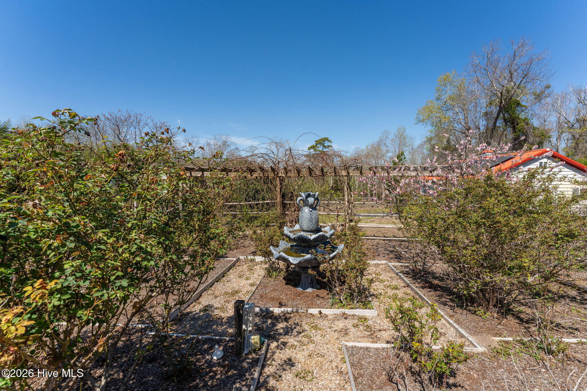 100552056 | Photo 67