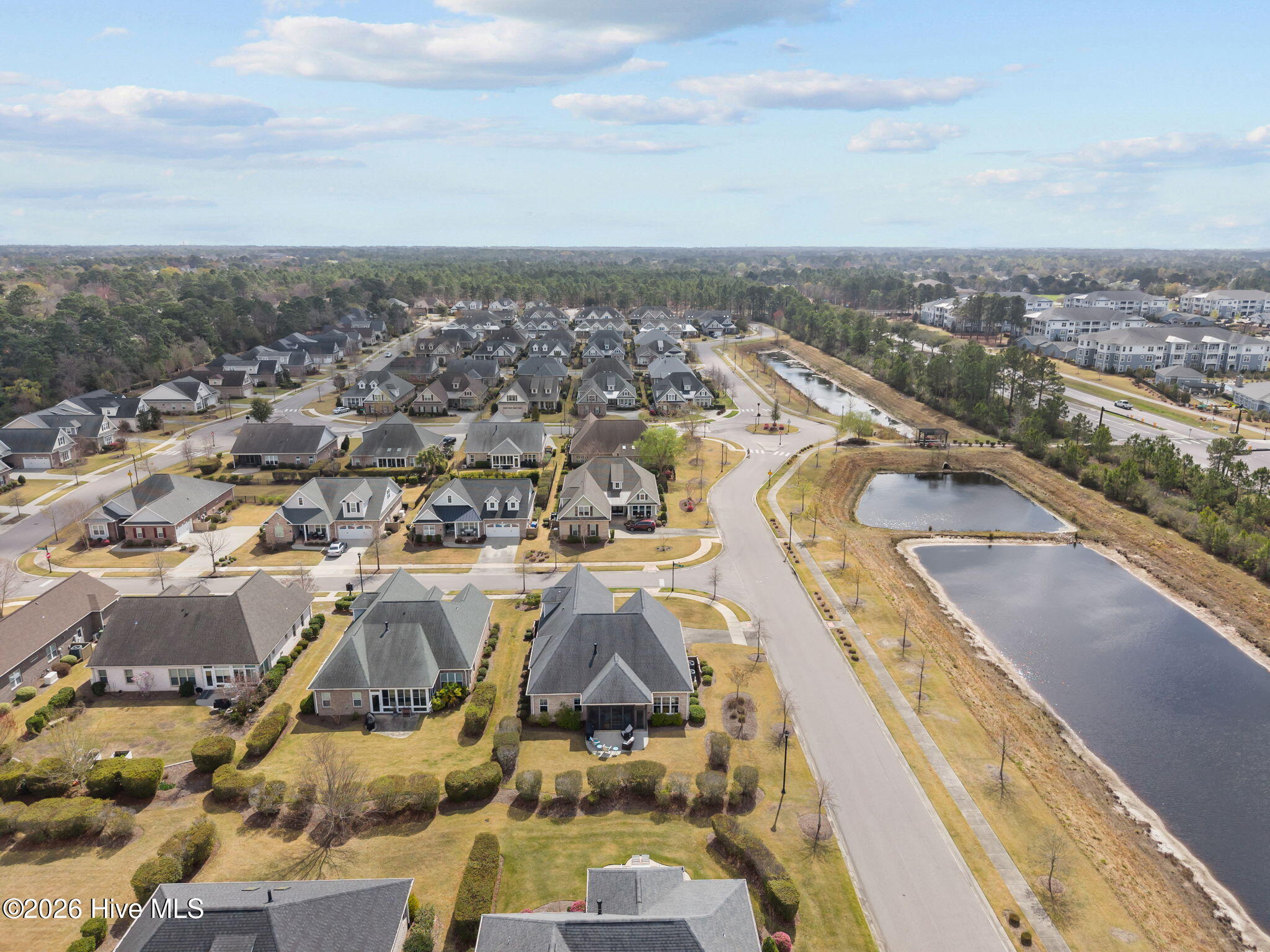 100560533 | Photo 40