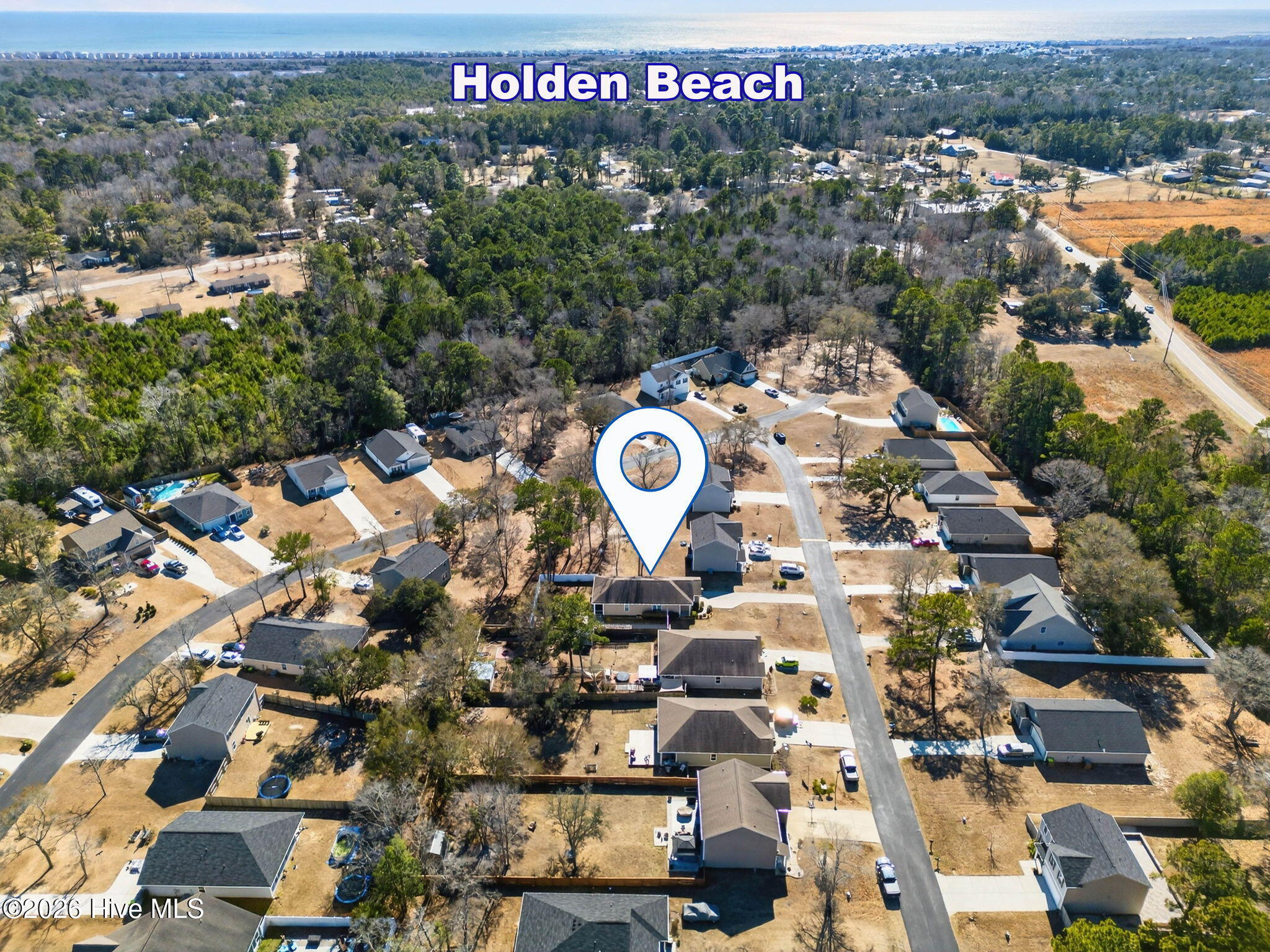 100555390 | Photo 45