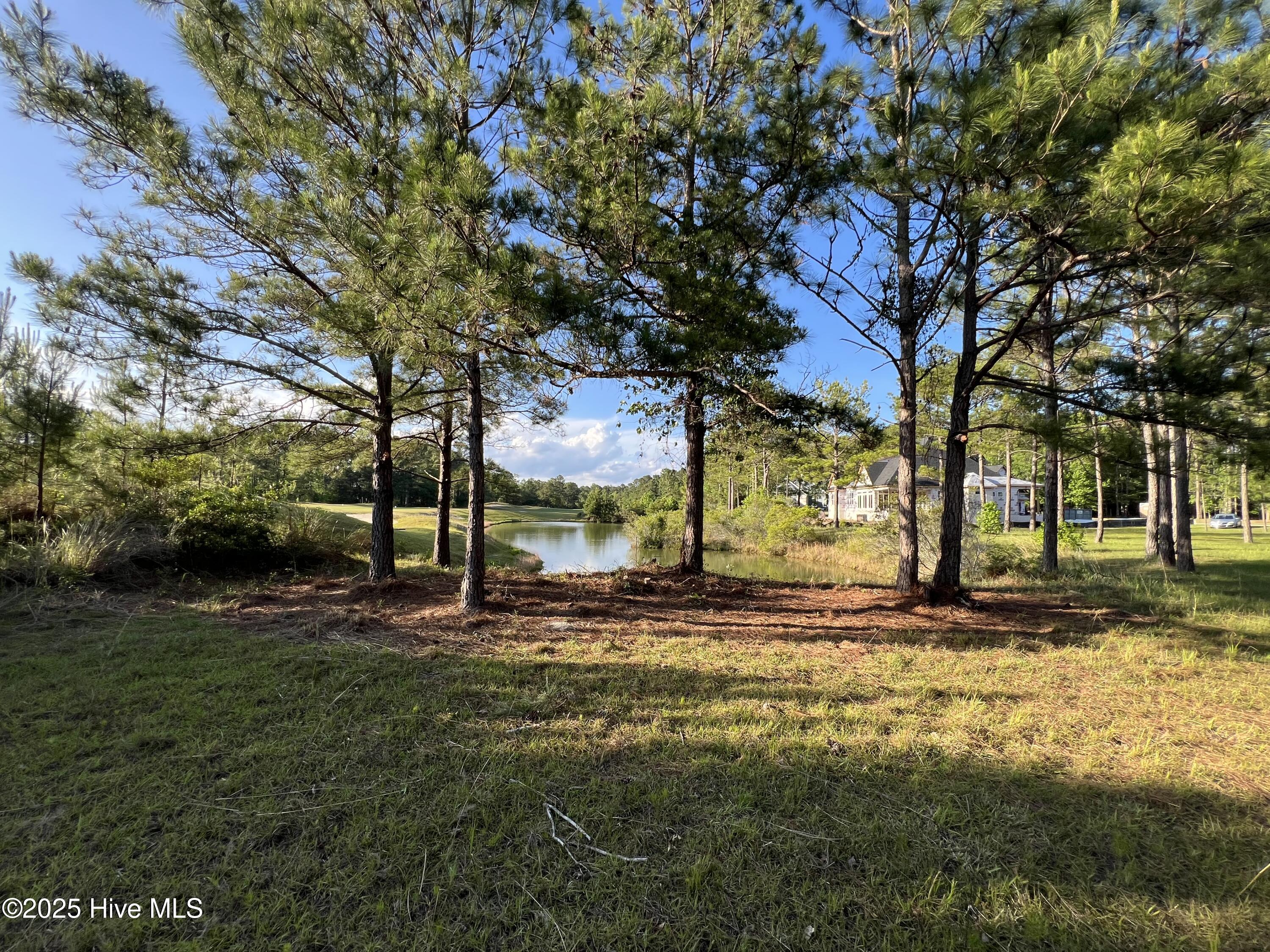 100509687 | Photo 17