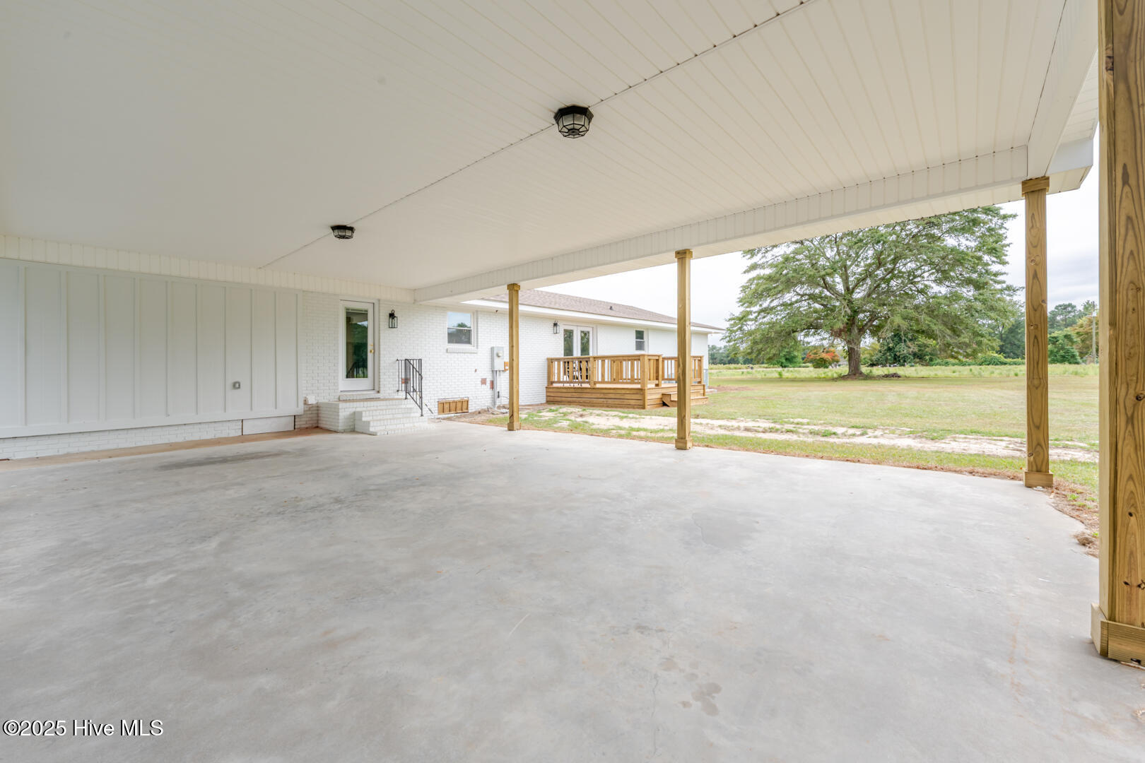 Peanut_Plant_ZoeyLensPhotography-13