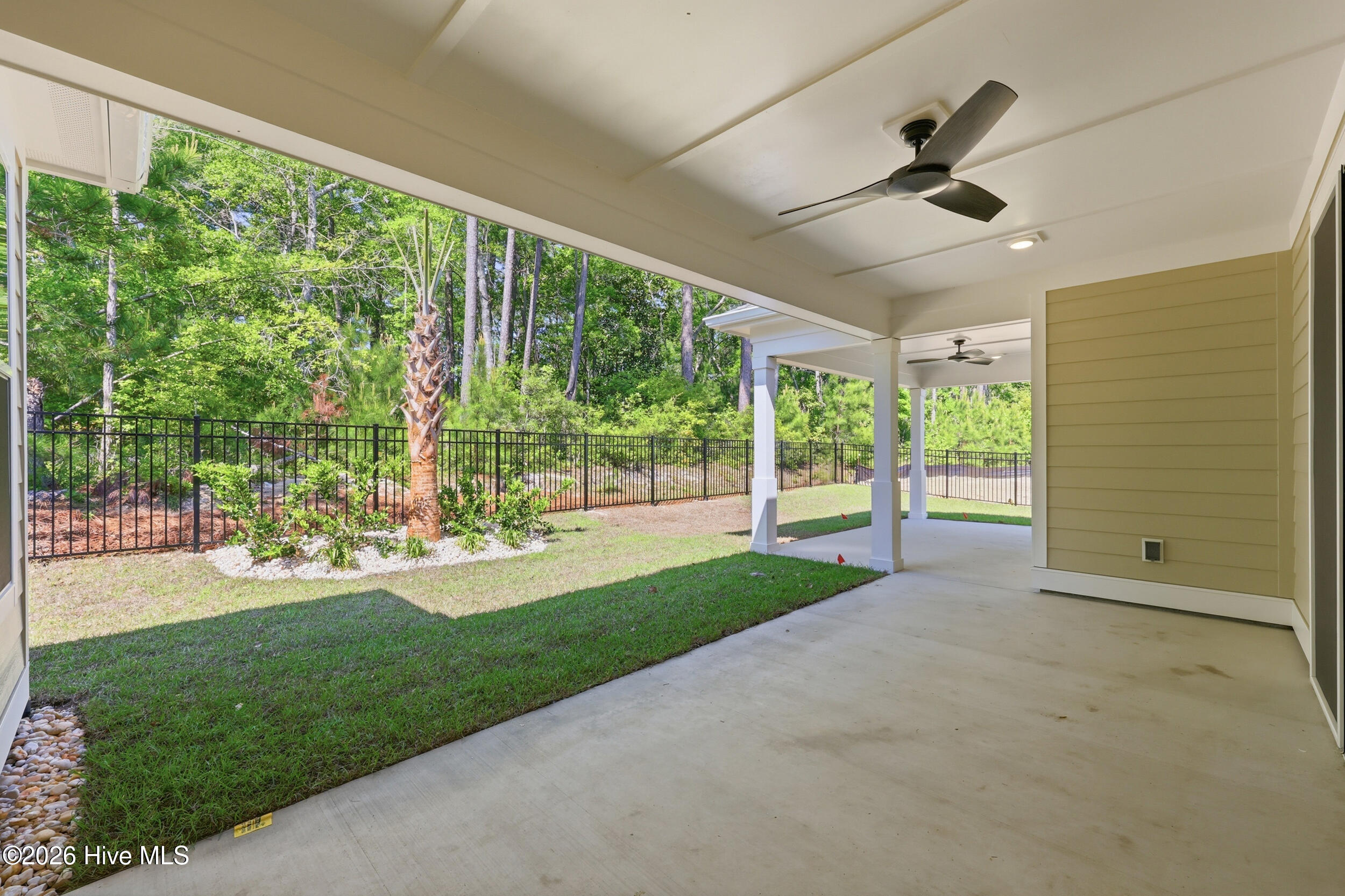 100551665 | Photo 34