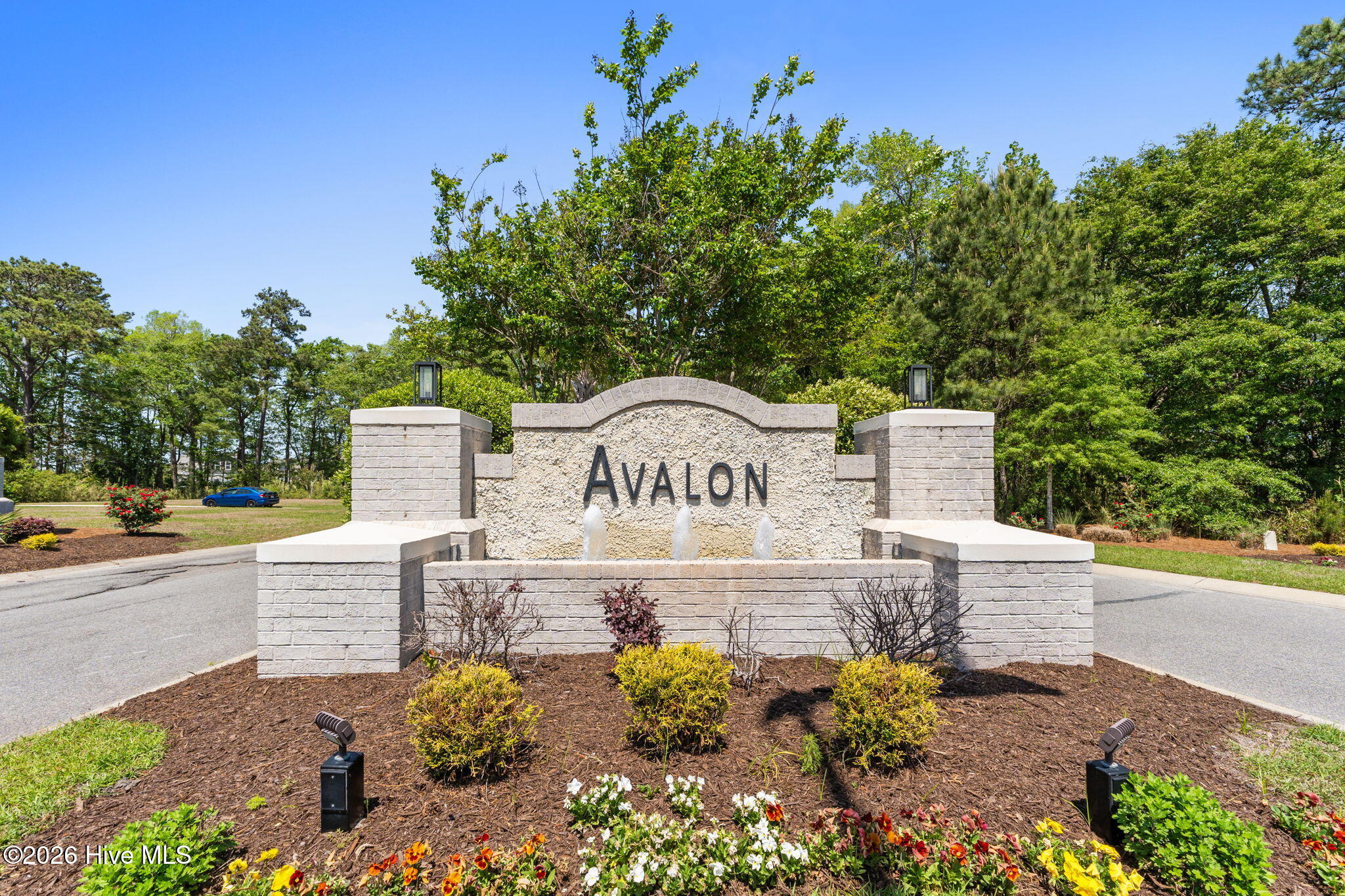 100568064 | Photo 61