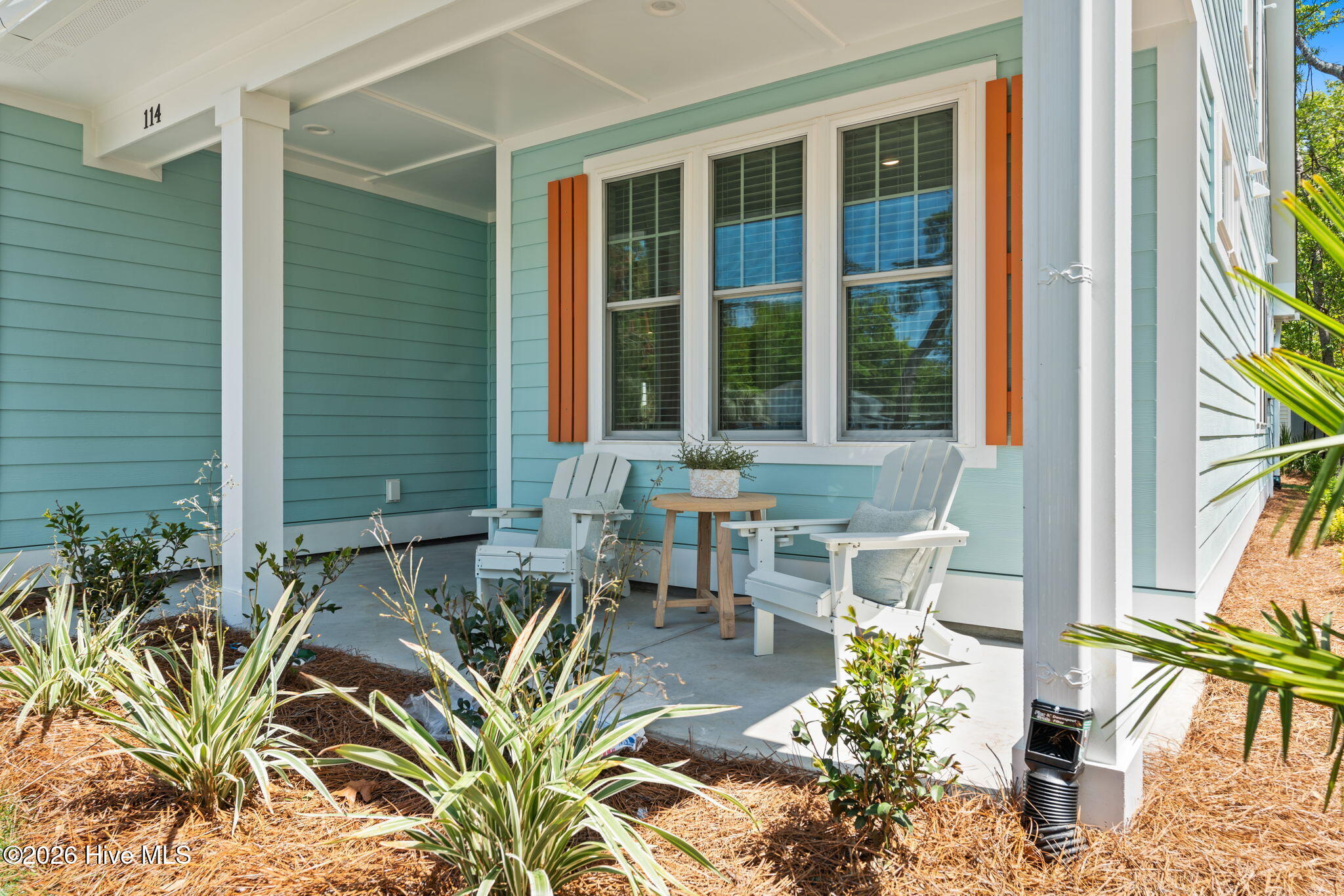 100546665 | Photo 12