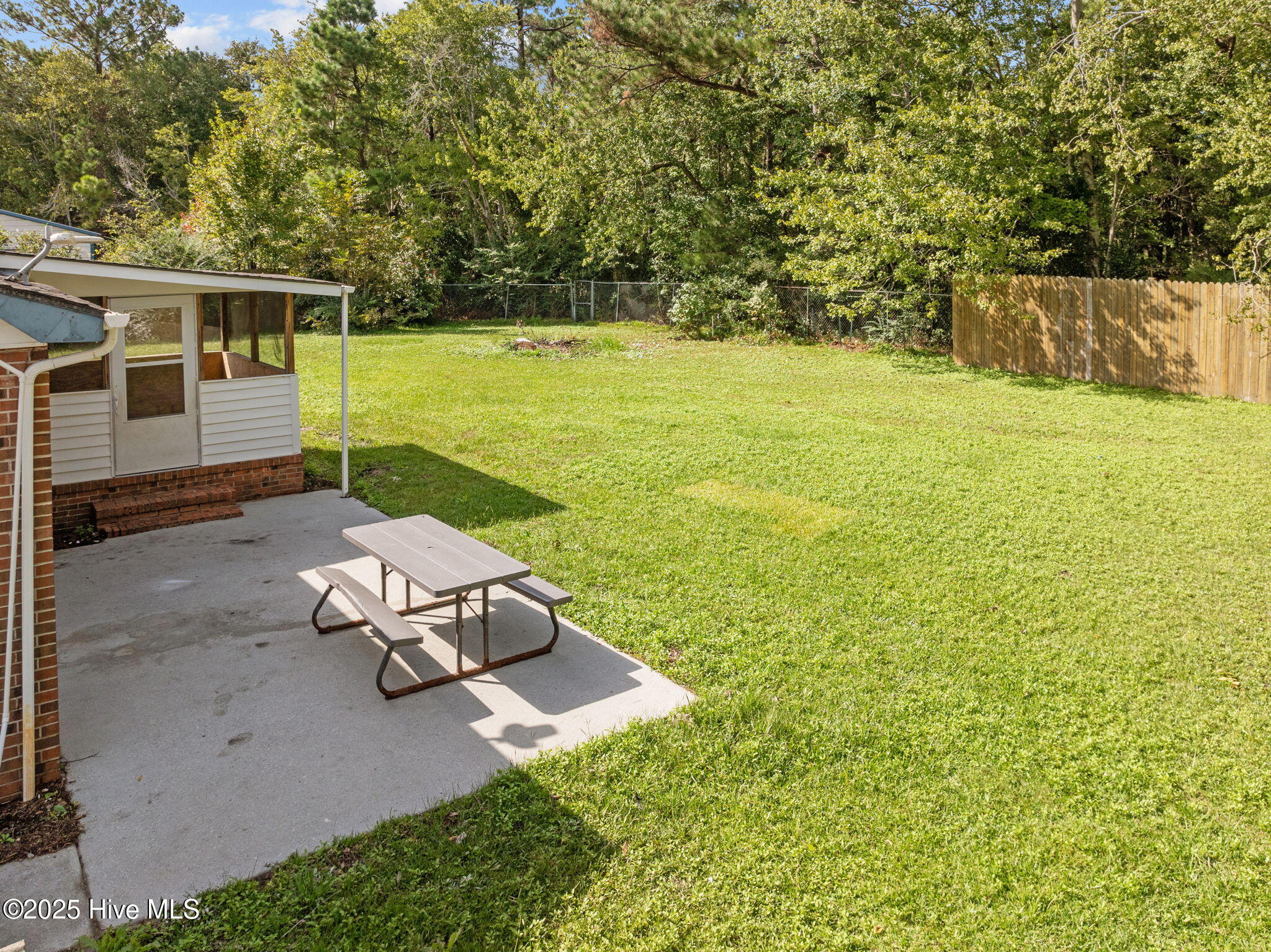 100534081 | Photo 58