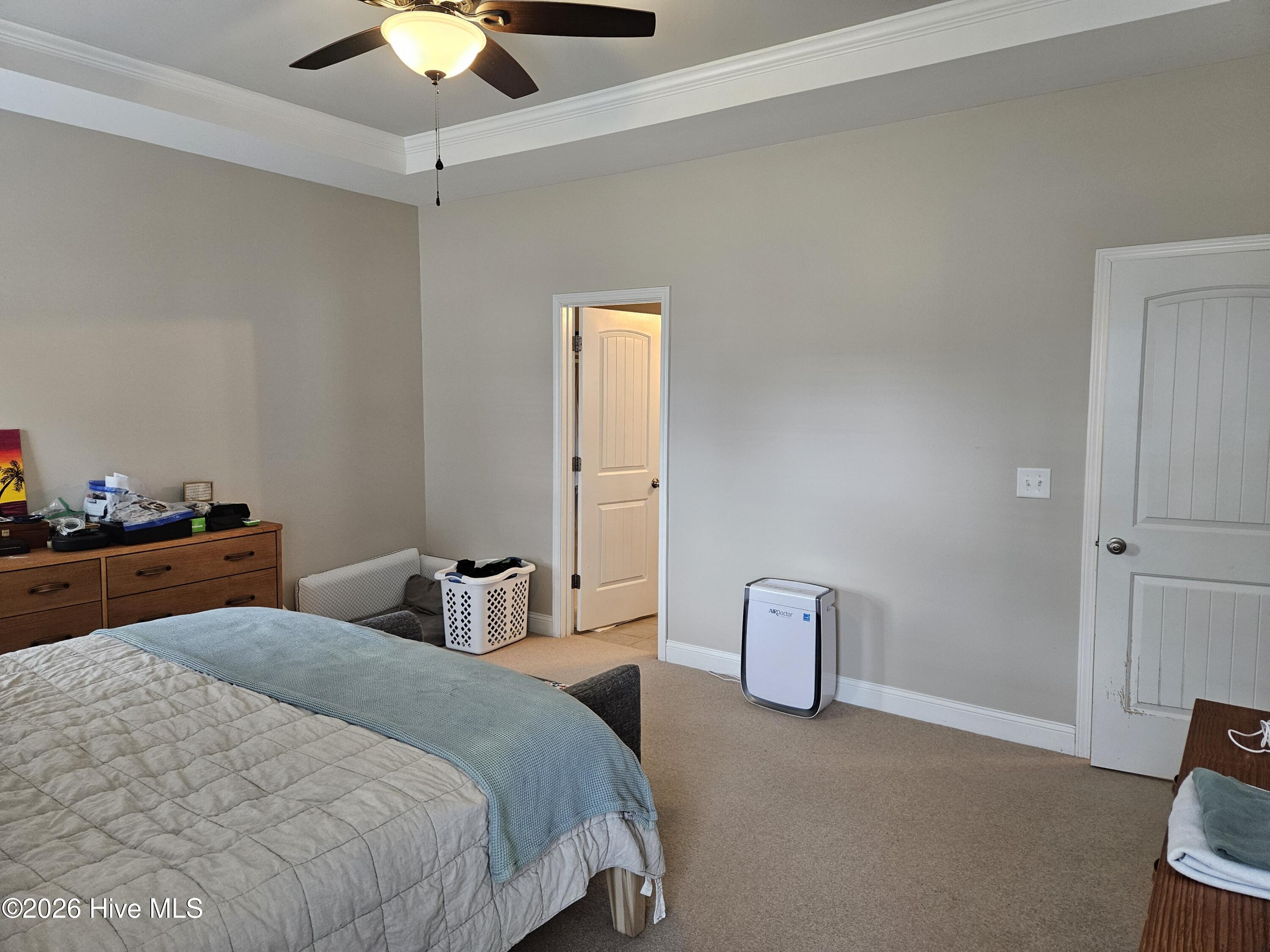 100568261 | Photo 15