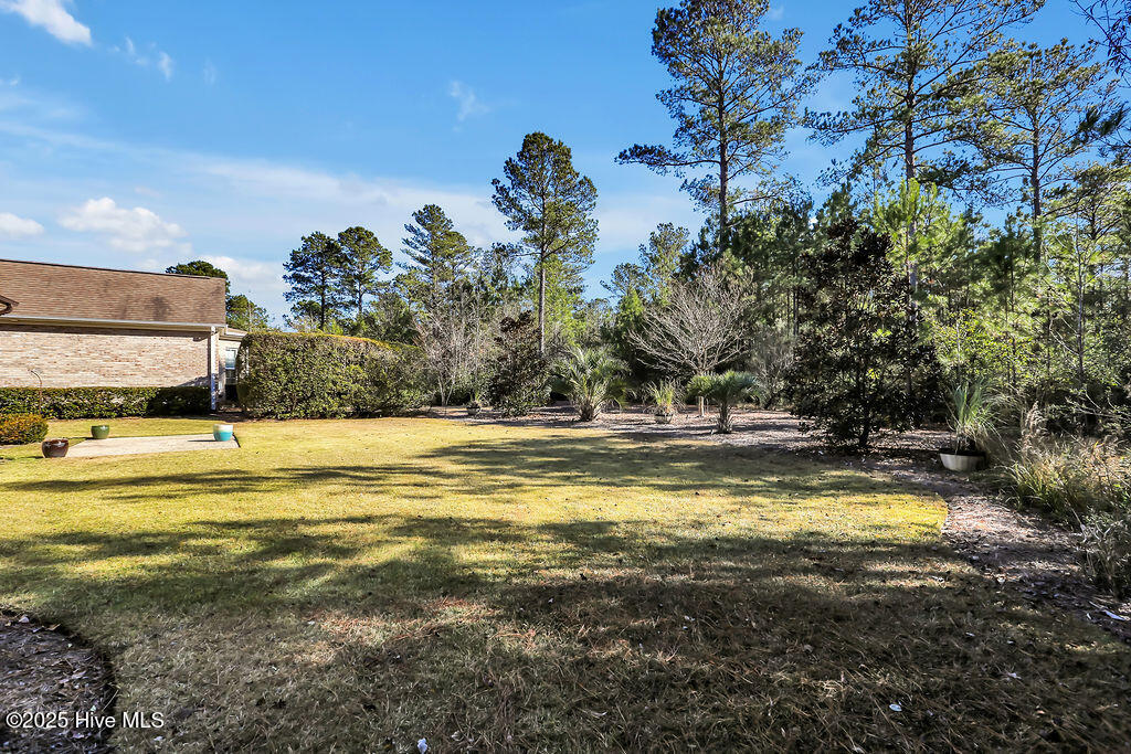 100545215 | Photo 45