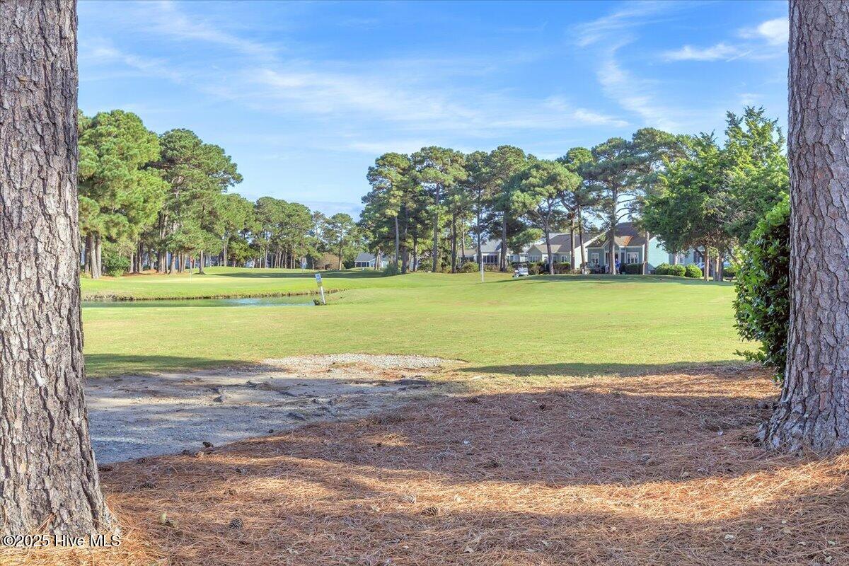 100532854 | Photo 24