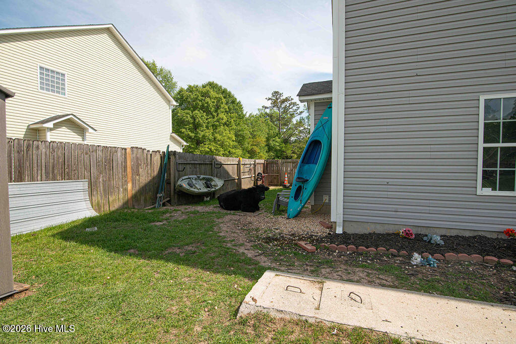 100567733 | Photo 39