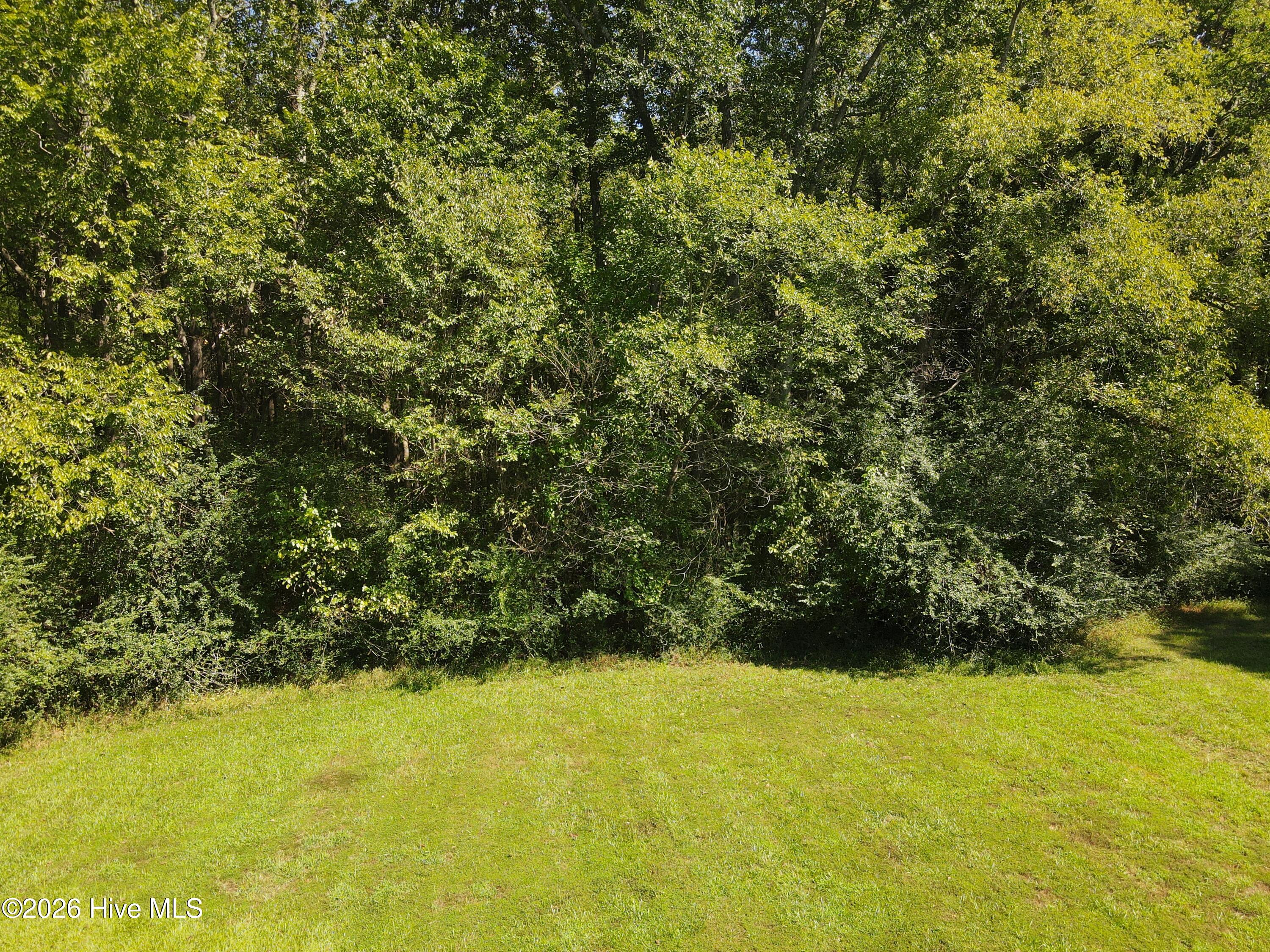 100607247 | Photo 2