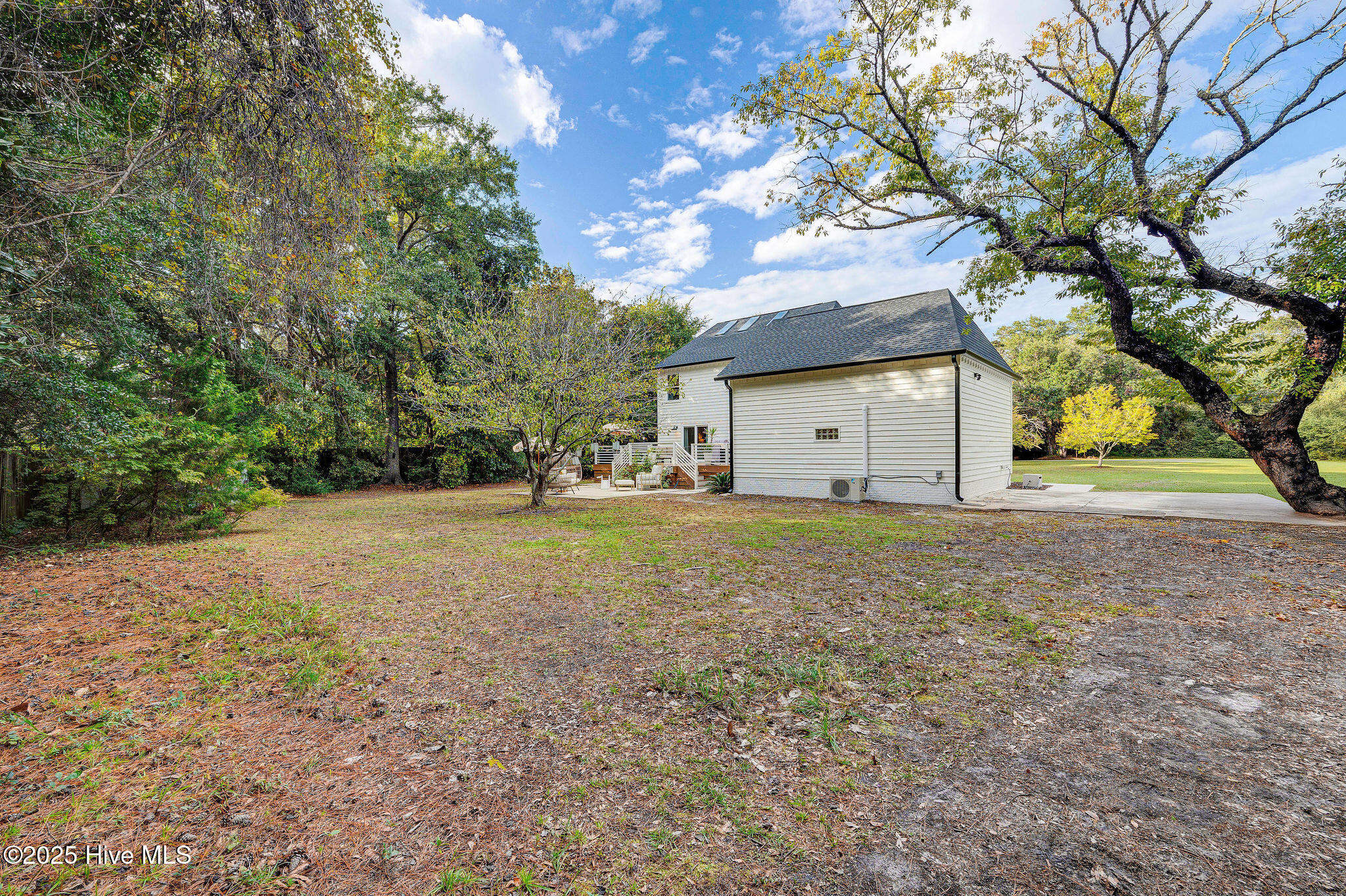 100534059 | Photo 63