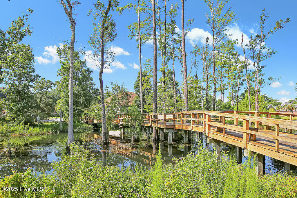 100544404 | Photo 65