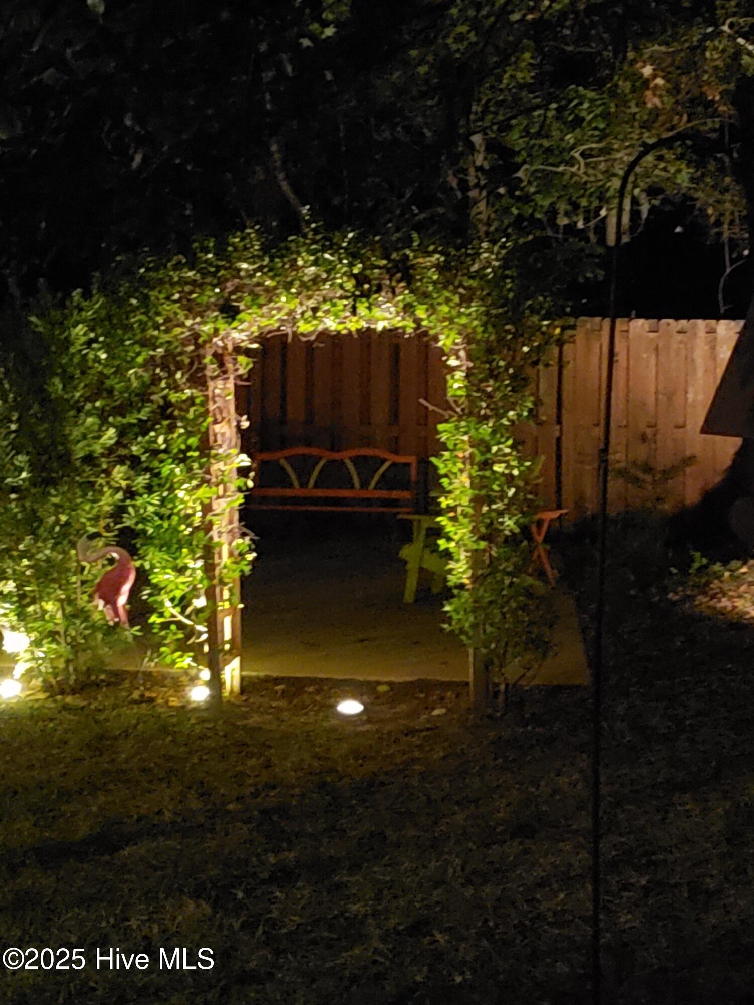 100533907 | Photo 34