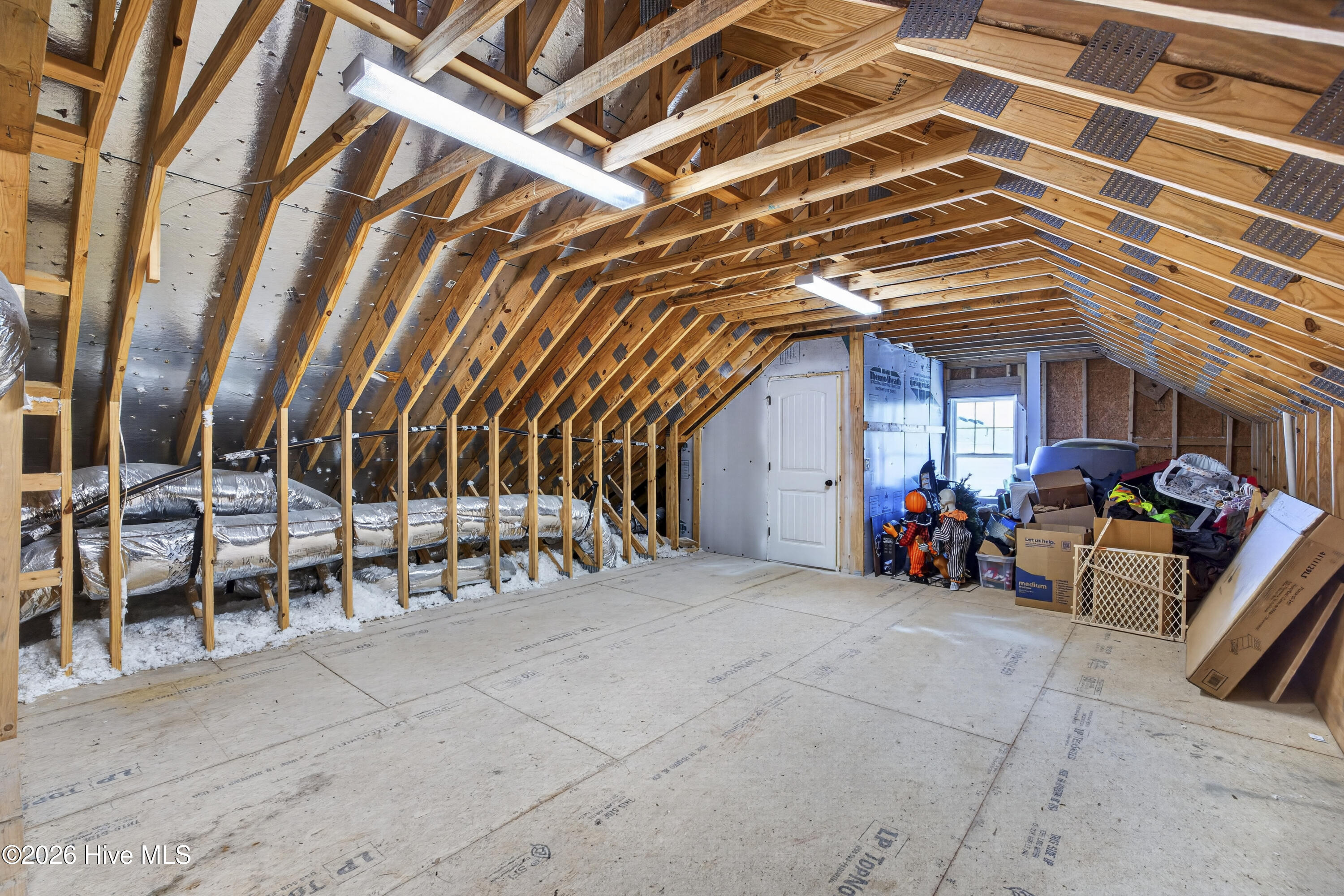 100567368 | Photo 64