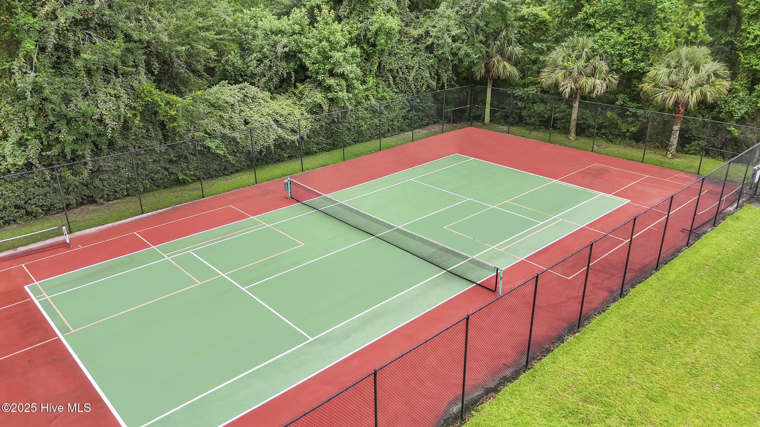 100534975 | Photo 11