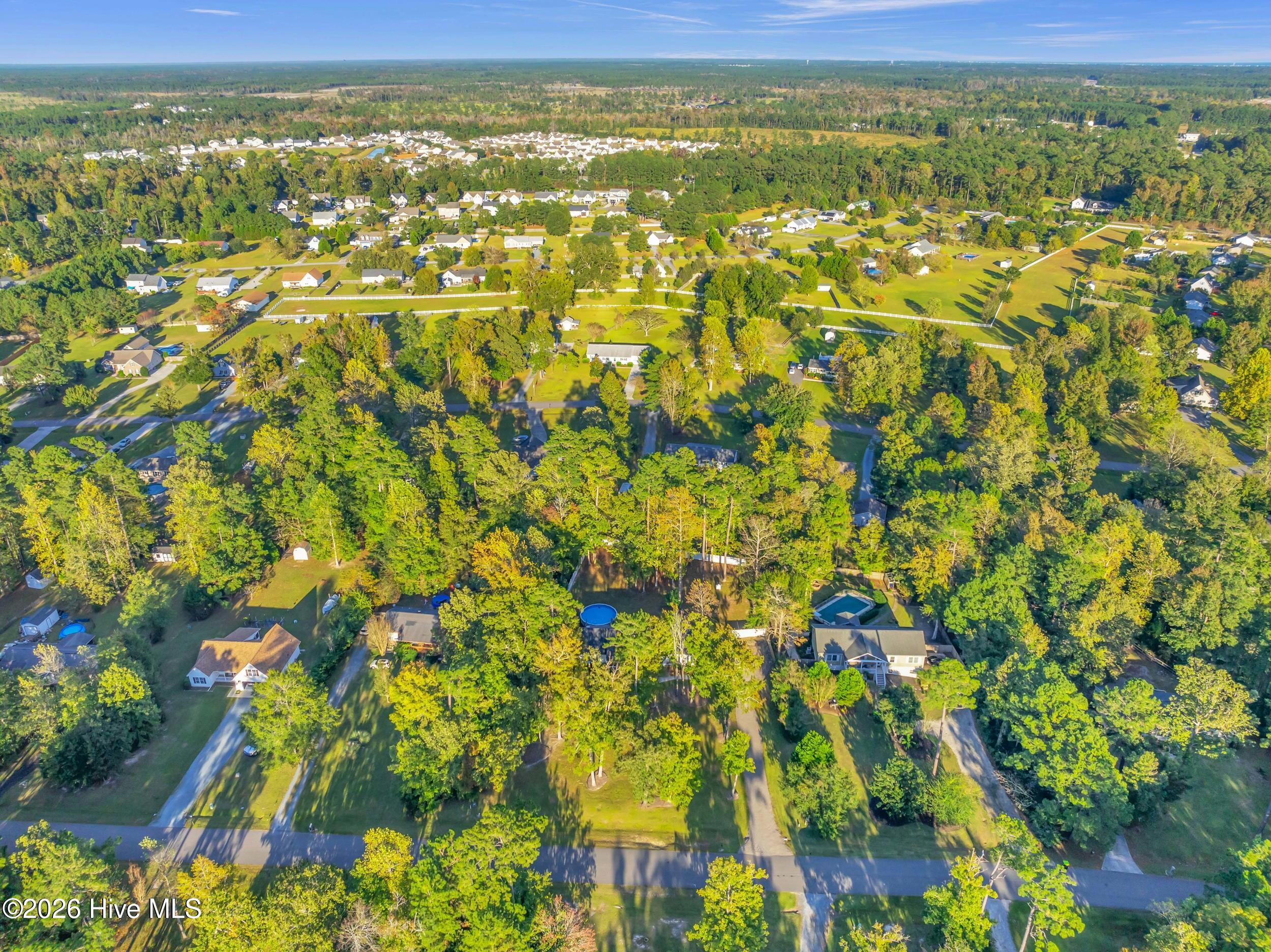 100562256 | Photo 44