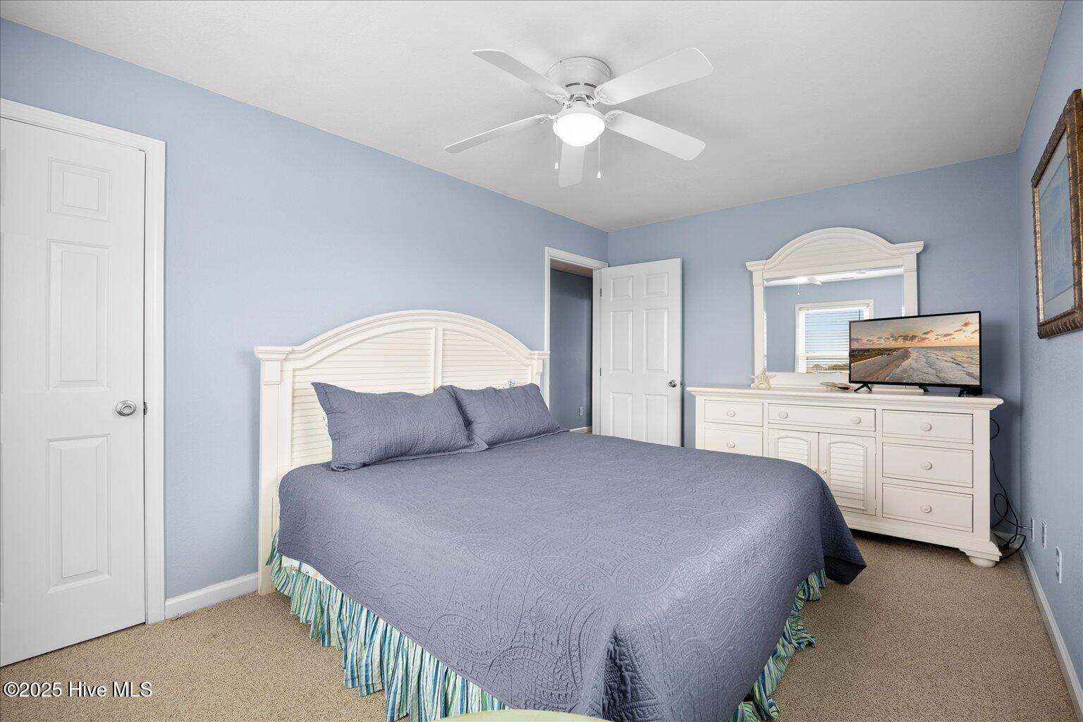 100530582 | Photo 47