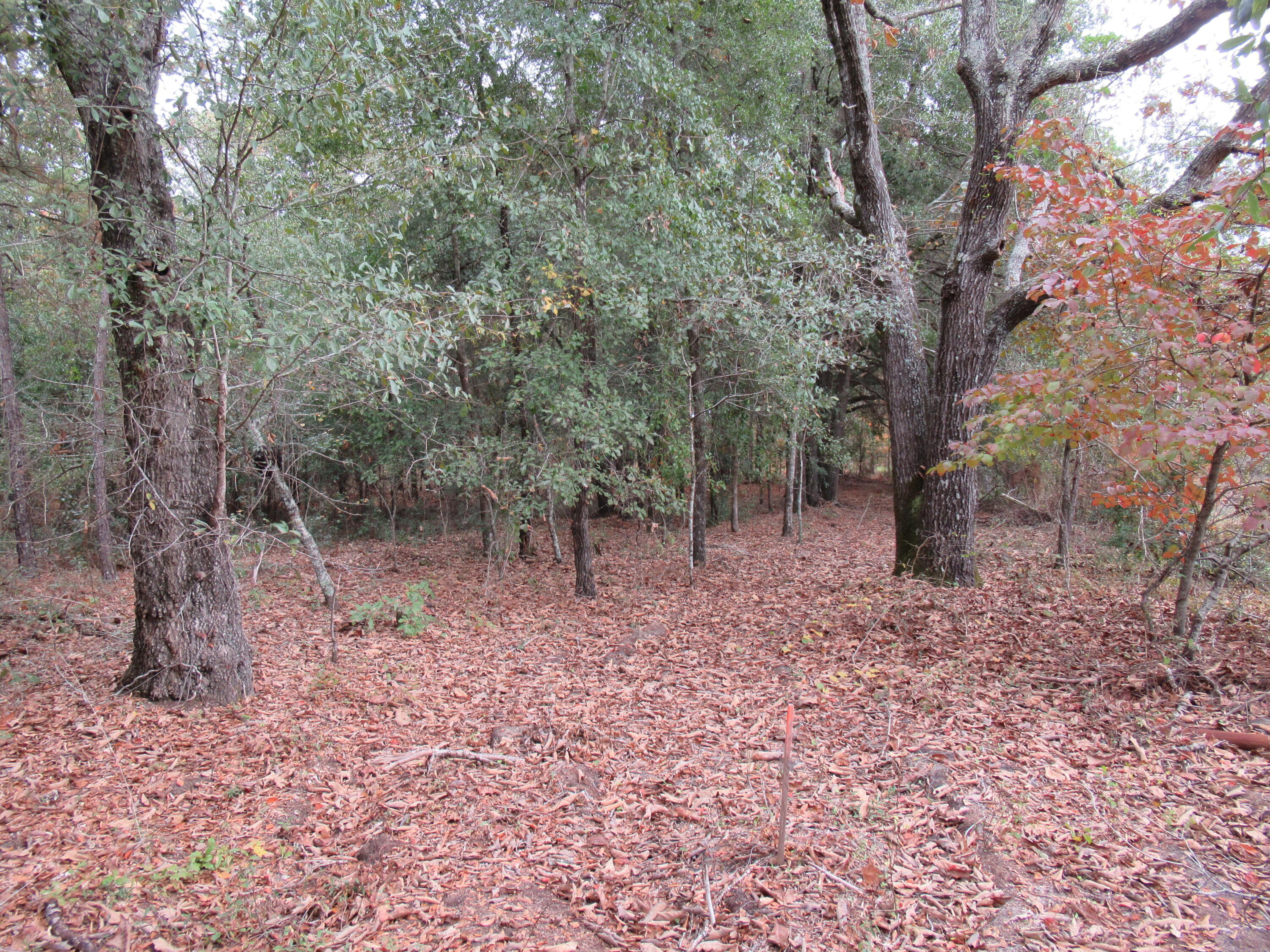 0 TWIN PINES RD., Keysville, GA, 30816