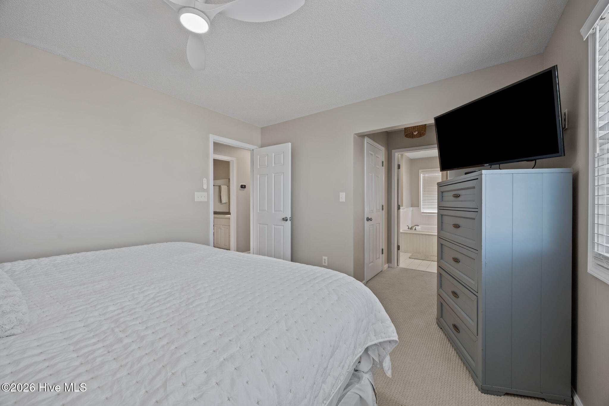 100563620 | Photo 13